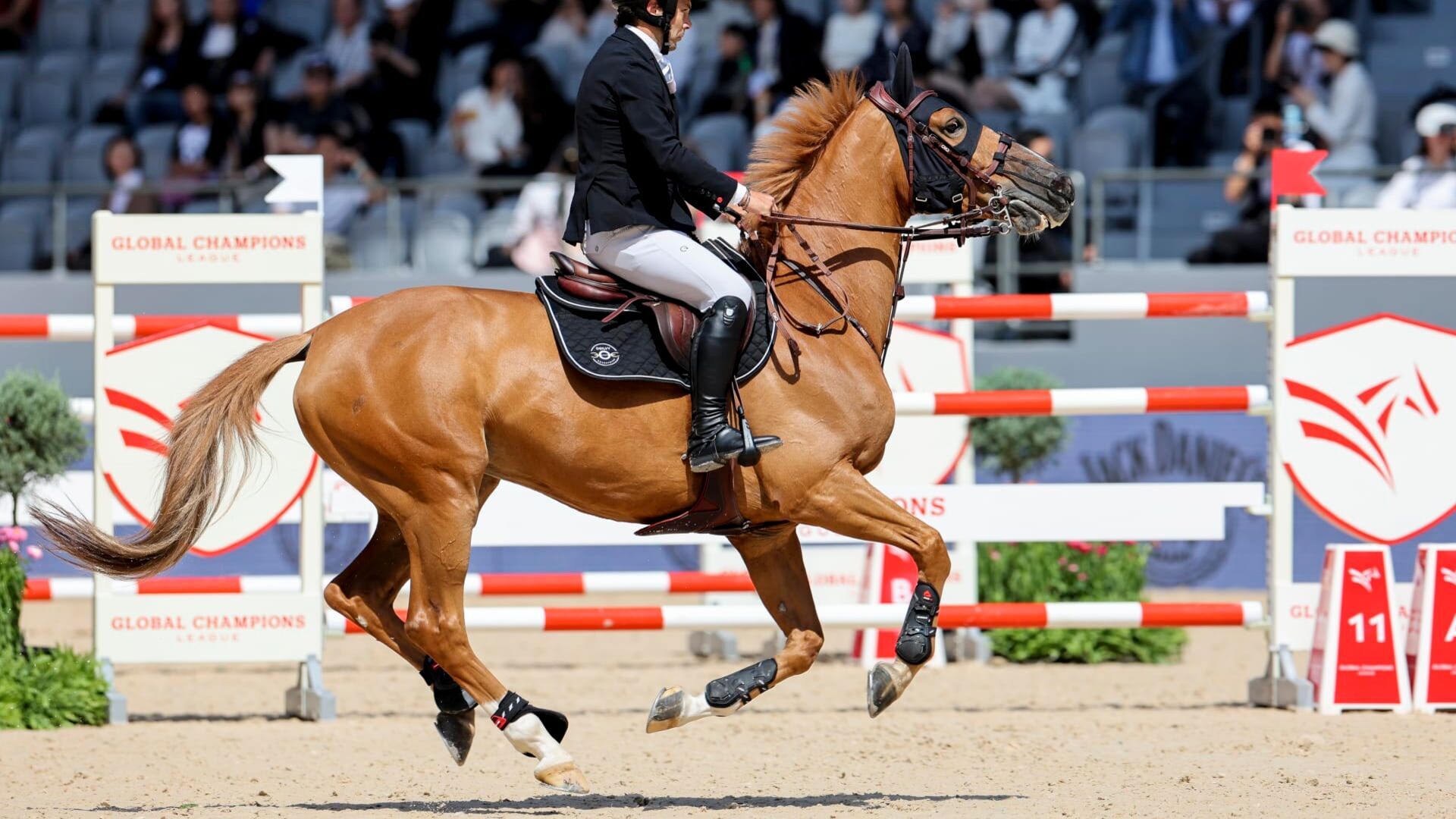 Equitation : Global Champions Tour