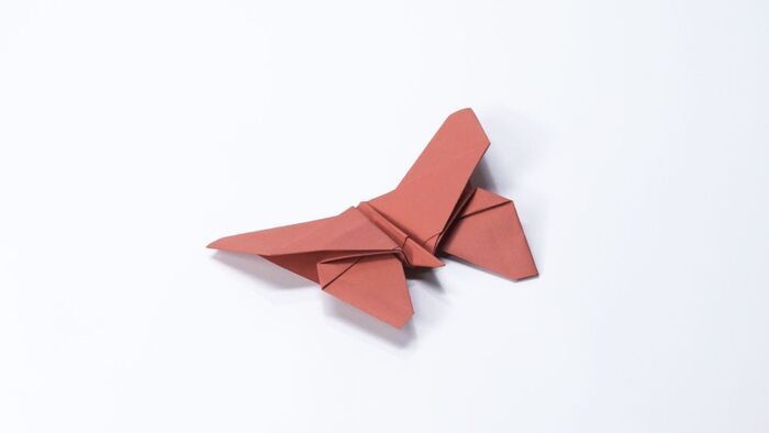 Le papillon