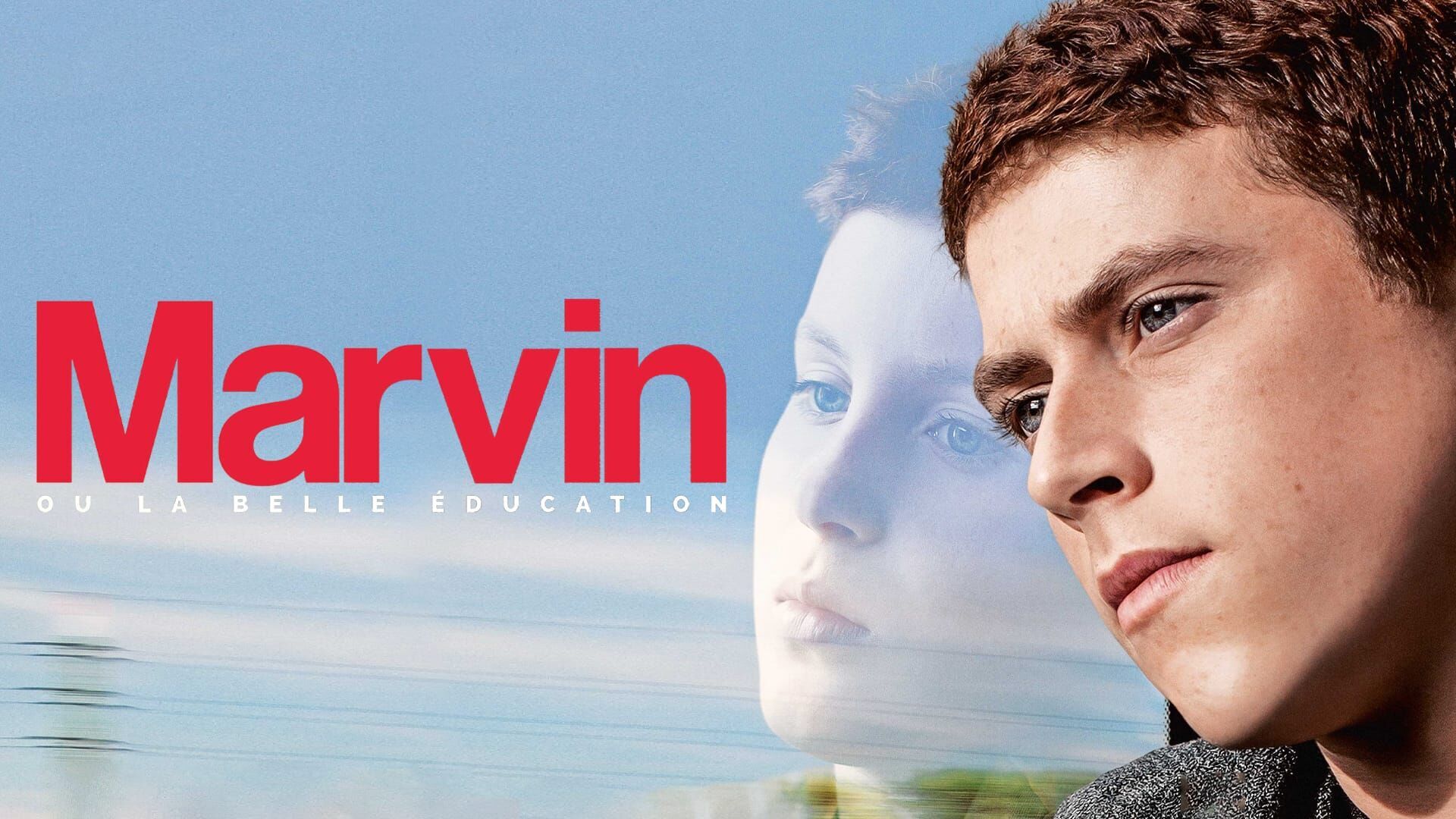 Marvin ou la belle éducation
