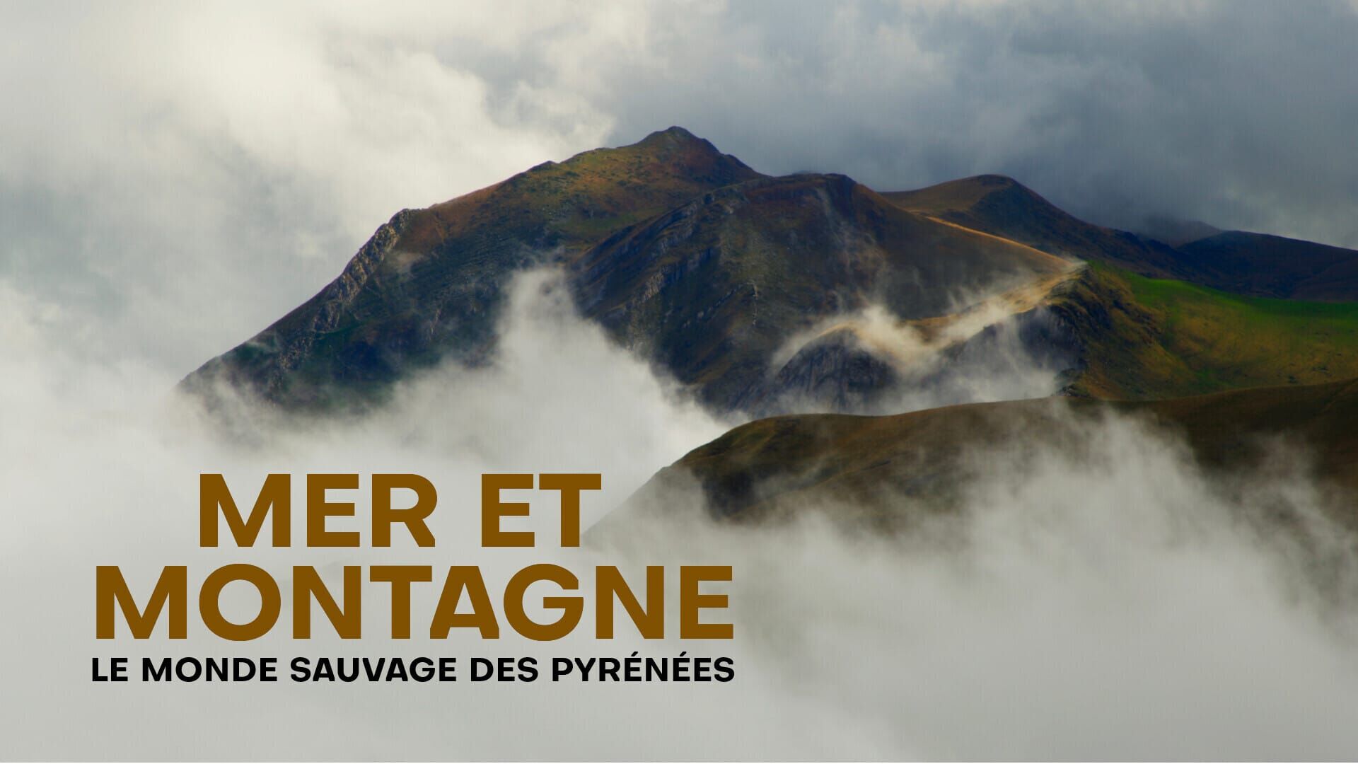 Mer et montagne, le monde sauvage des Pyrénées