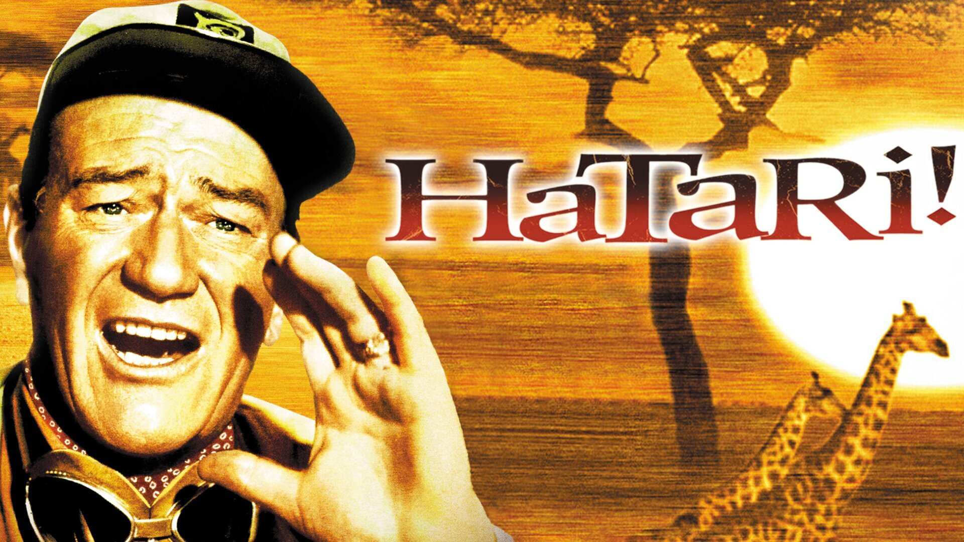 Hatari !