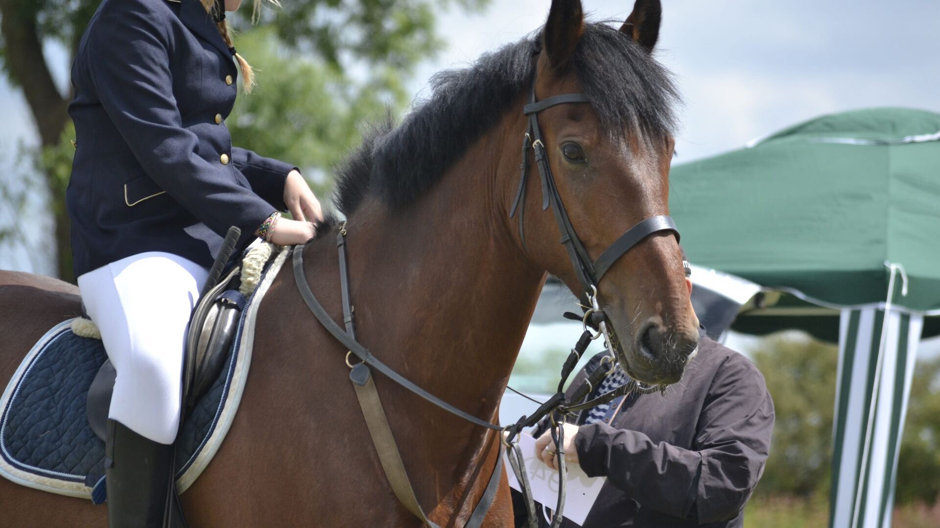 Equitation : Jumping International de Monte-Carlo
