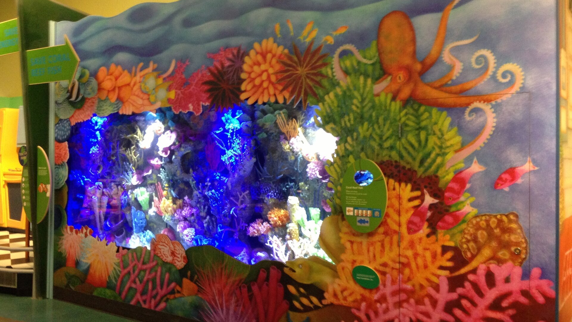 Un palace pour poissons