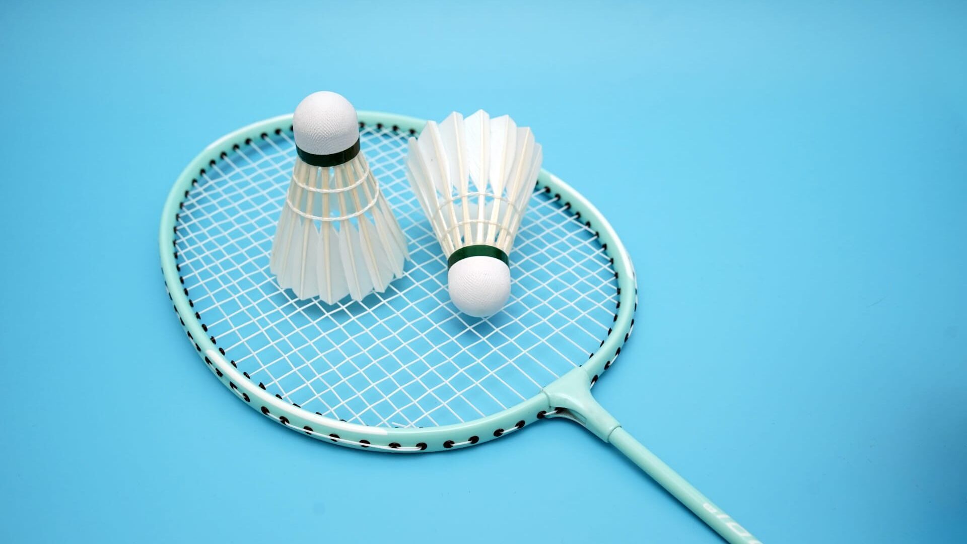Badminton : Championnats de France