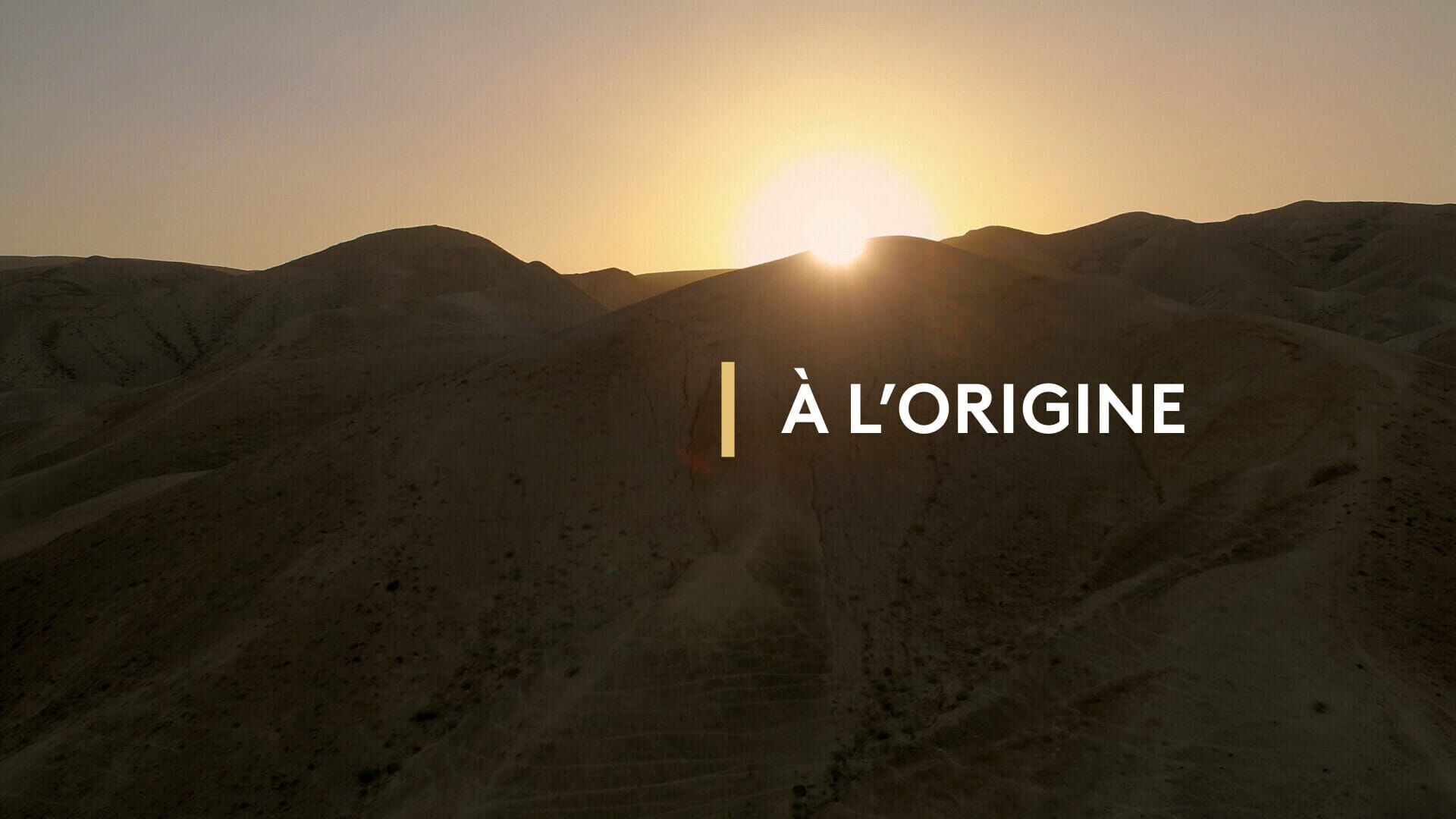 Horizon : Simhat Torah, une joie qui libère