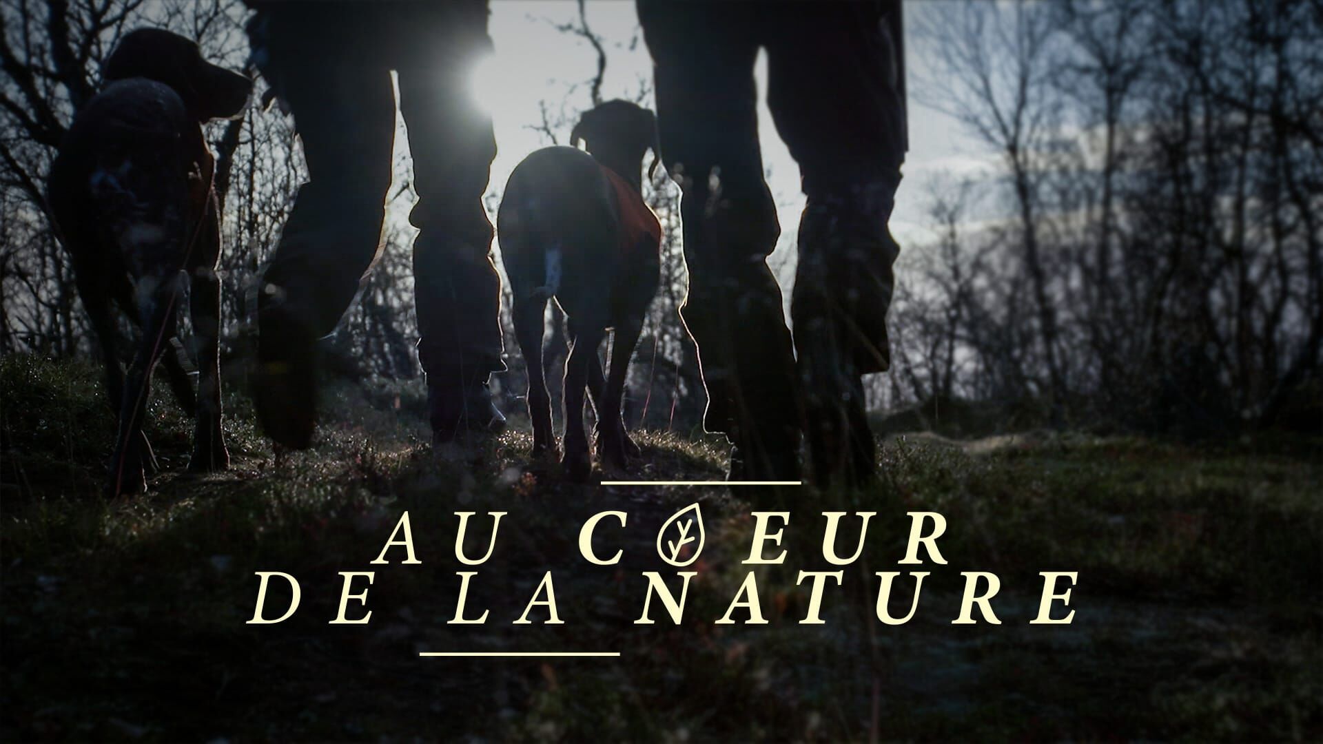 Battements de cœur