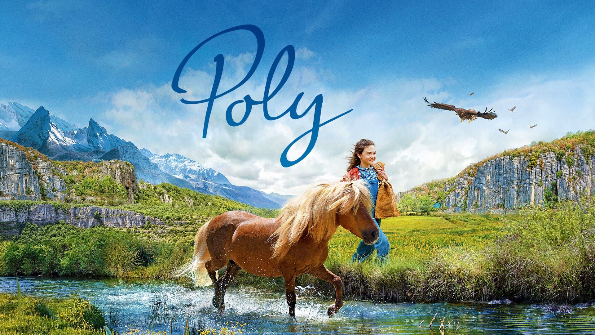 Poly