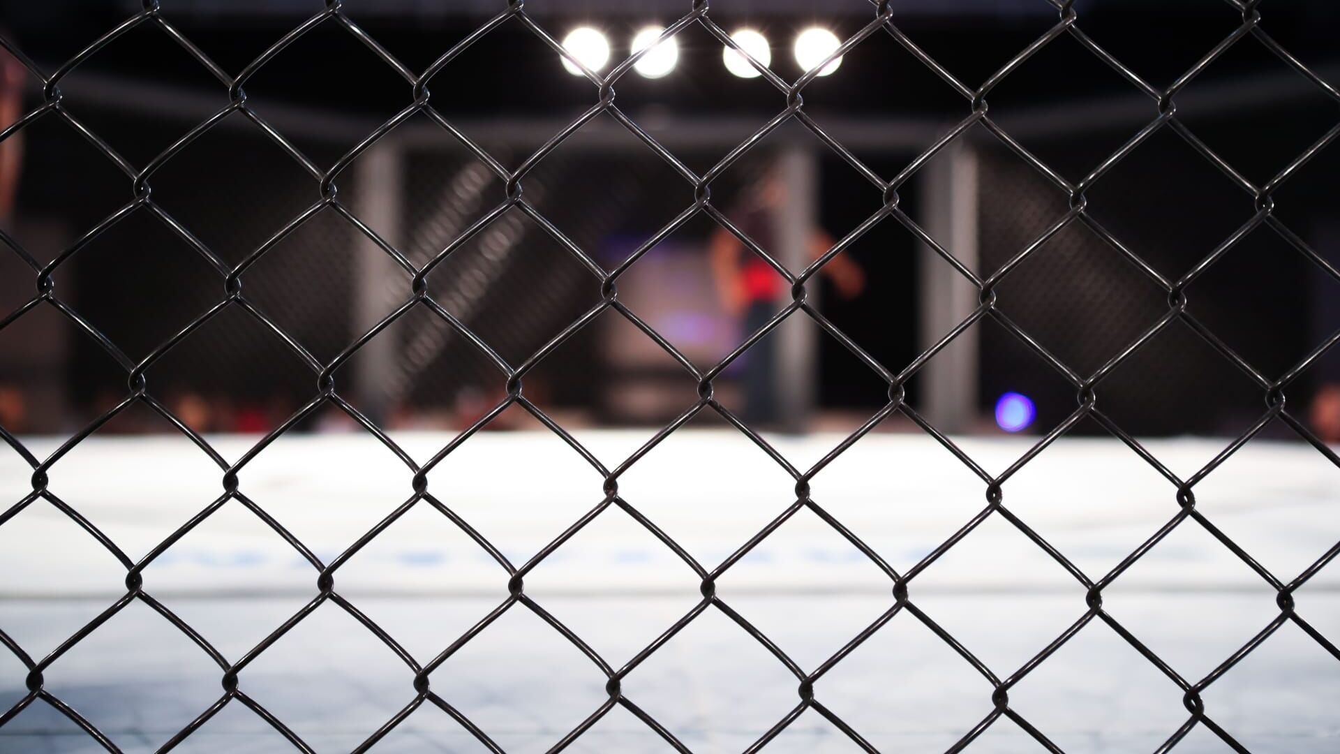 MMA : United Fight Night Series
