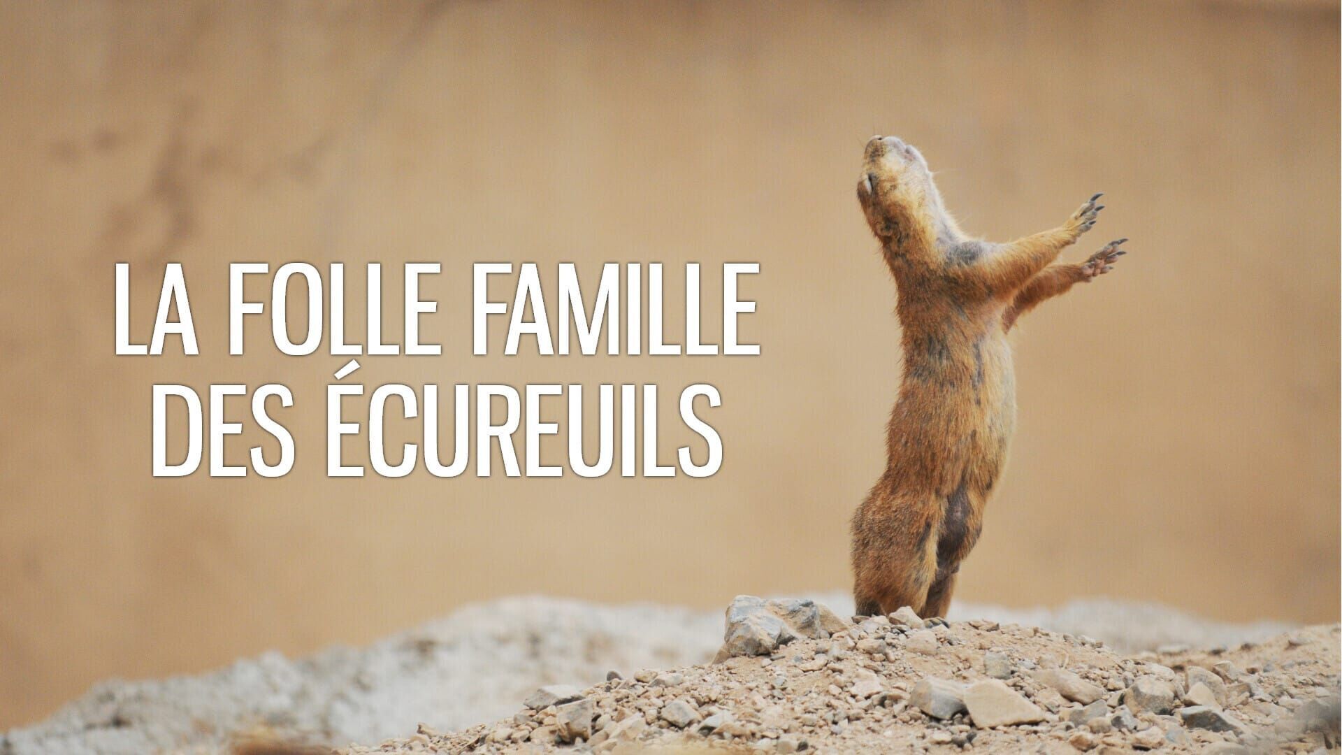 Le tour du monde des écureuils