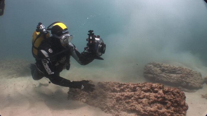 Trésors sous les mers