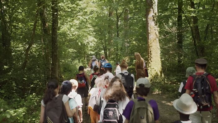 Et si on levait les yeux ? Une classe face aux écrans
