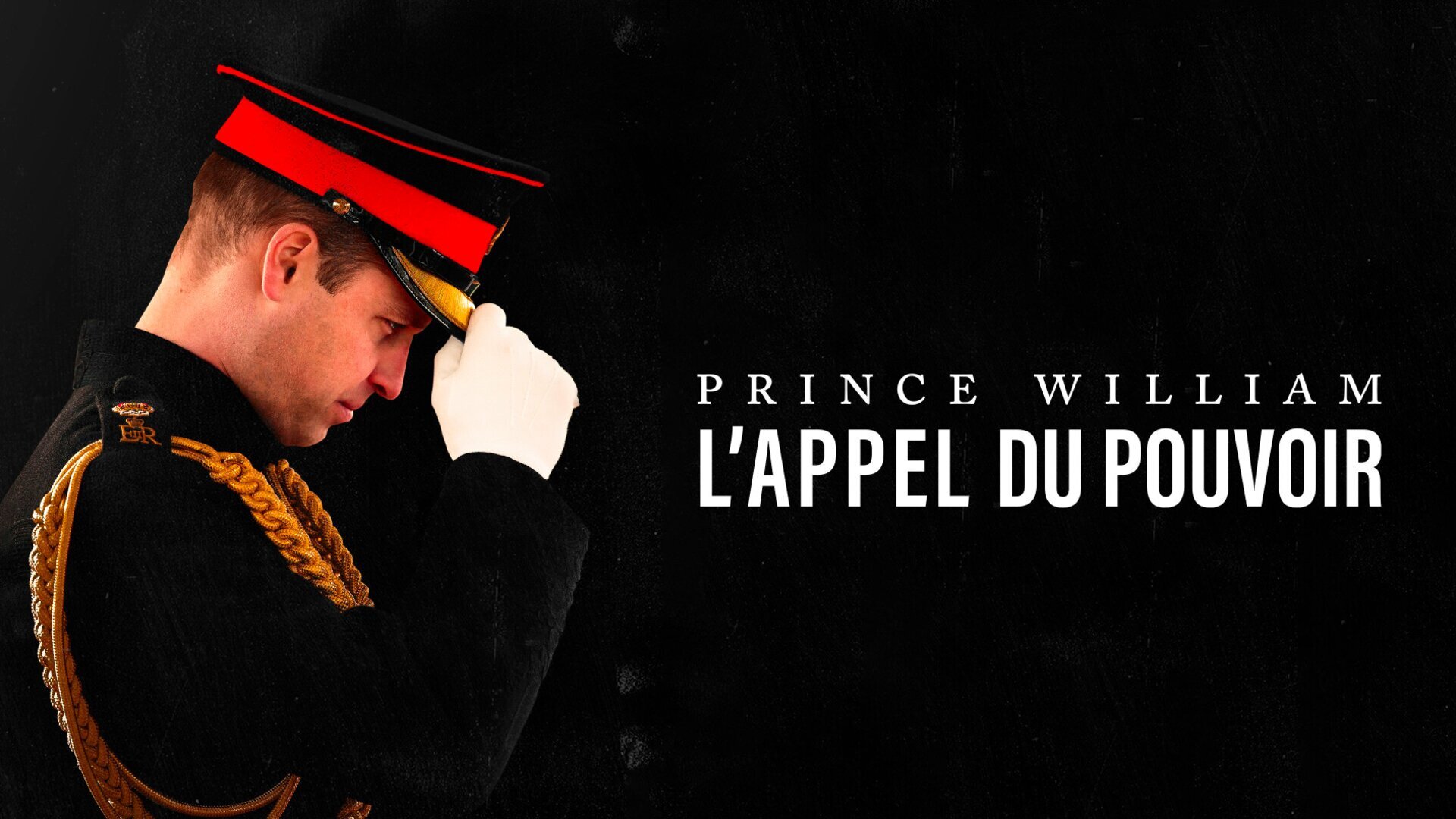 Prince William, l'appel du devoir