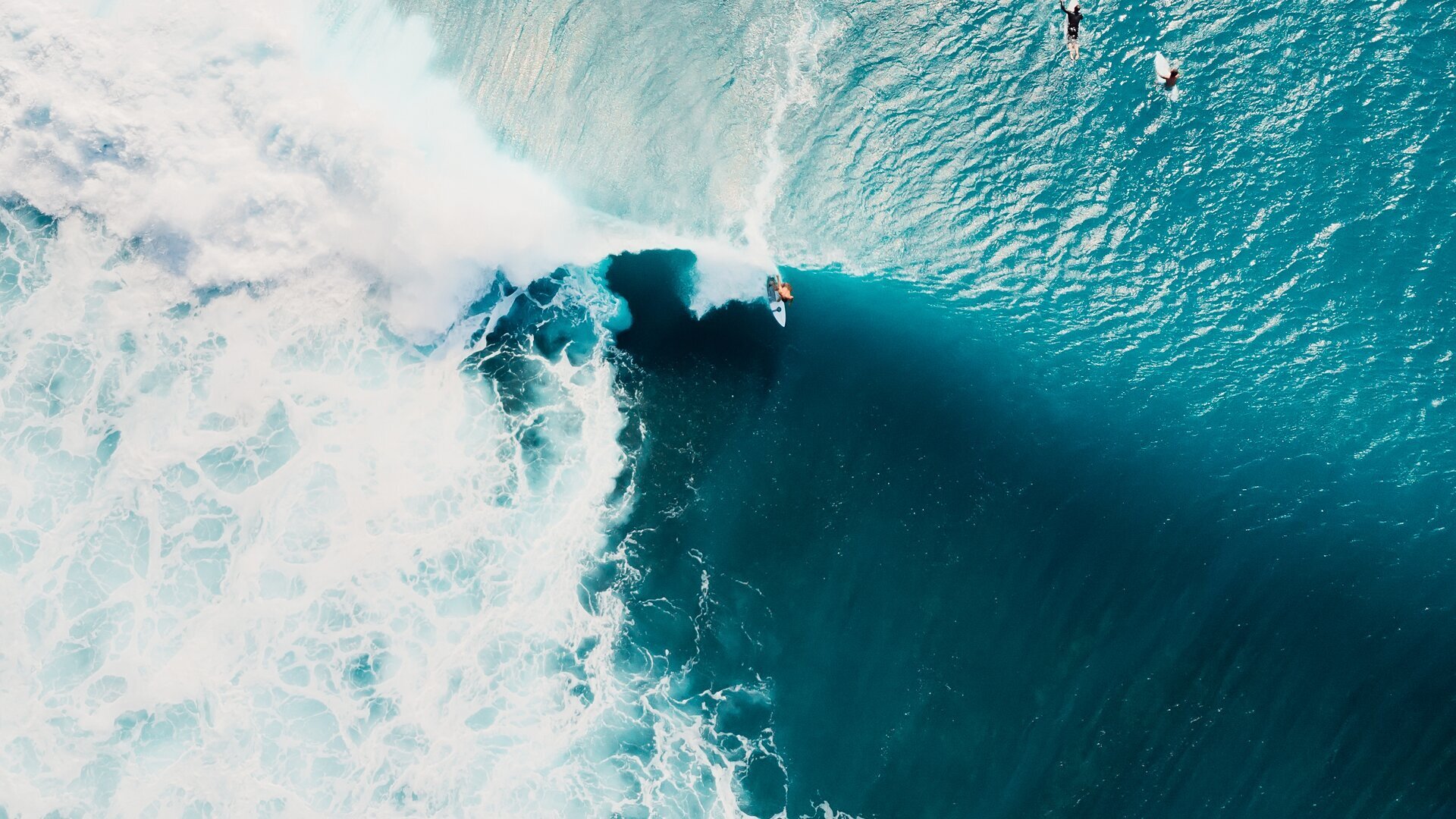 The Path of Restoration to Save the Earth