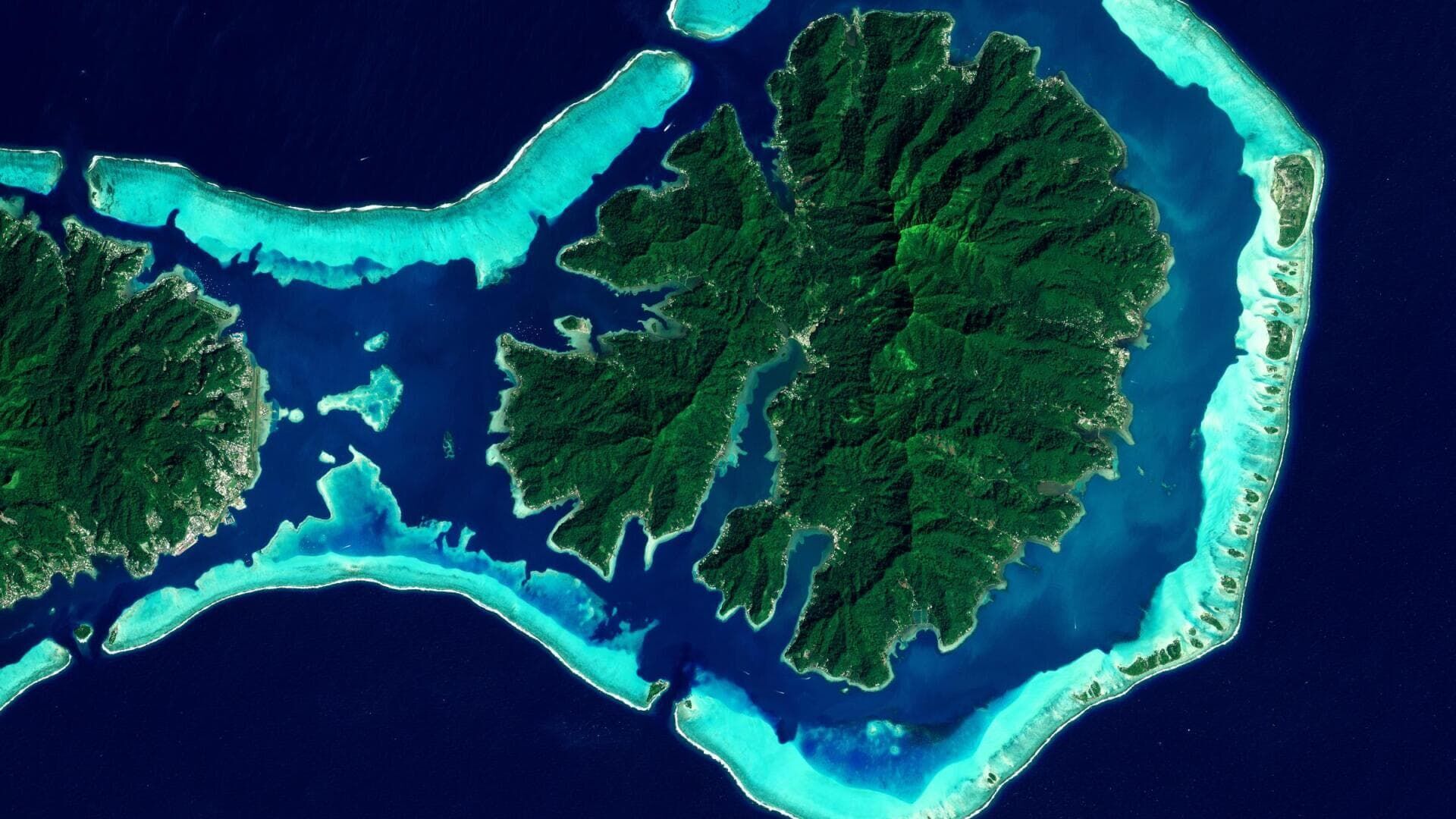 Planète terre : une année vue du ciel