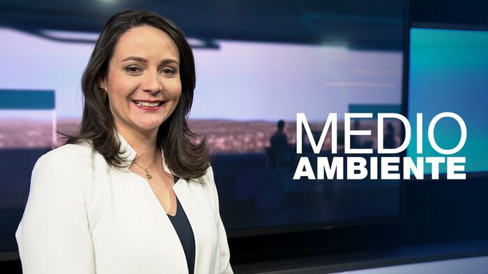 Medio ambiente