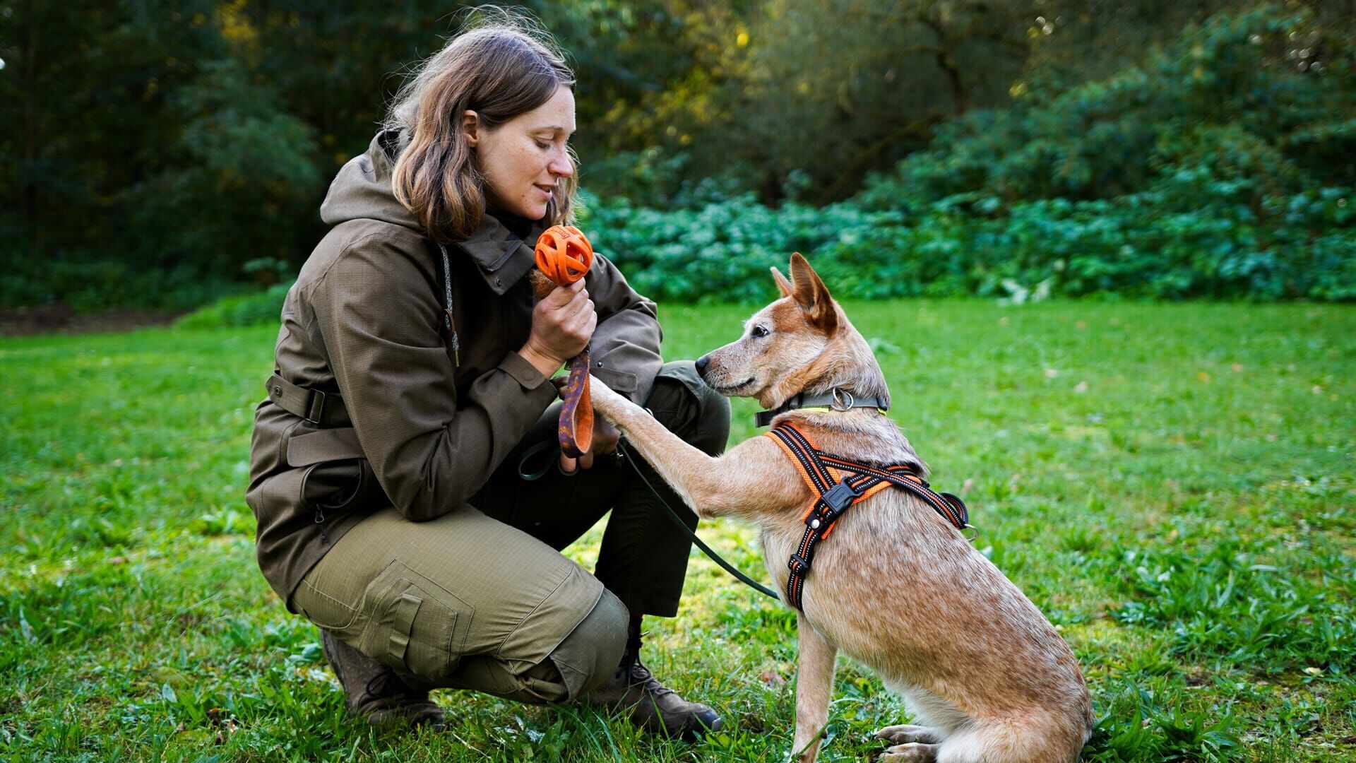 Animal Invaders - The Battle Against Unwanted Species