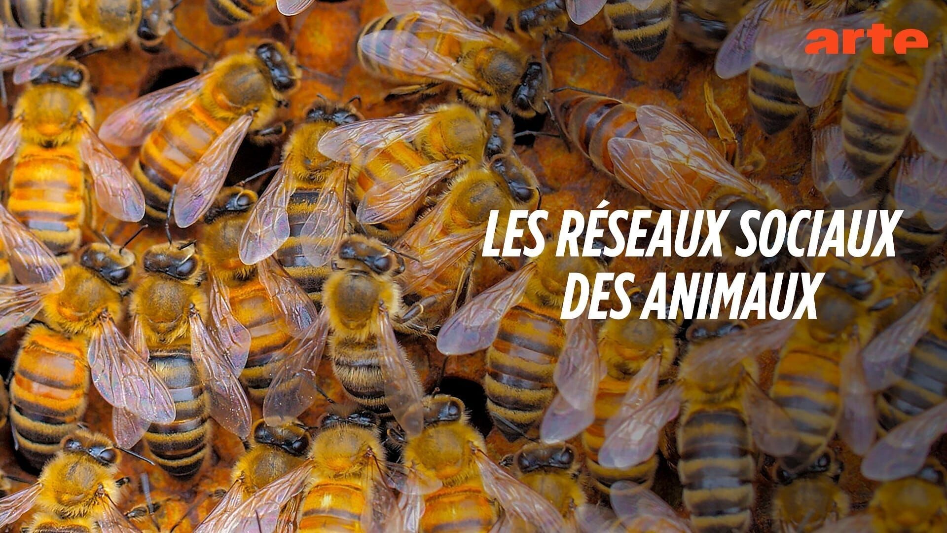 Ensemble, plus forts