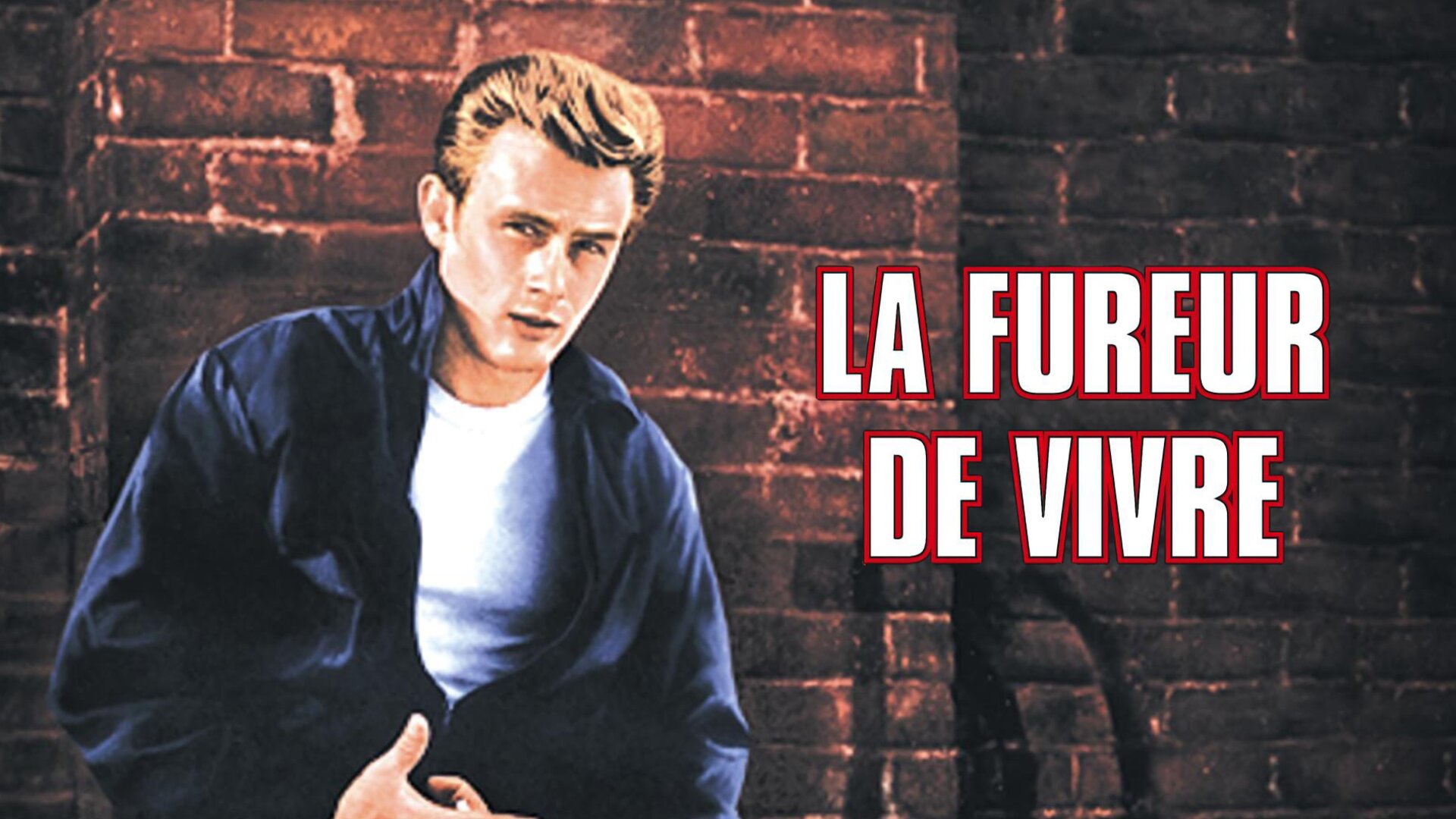 La fureur de vivre