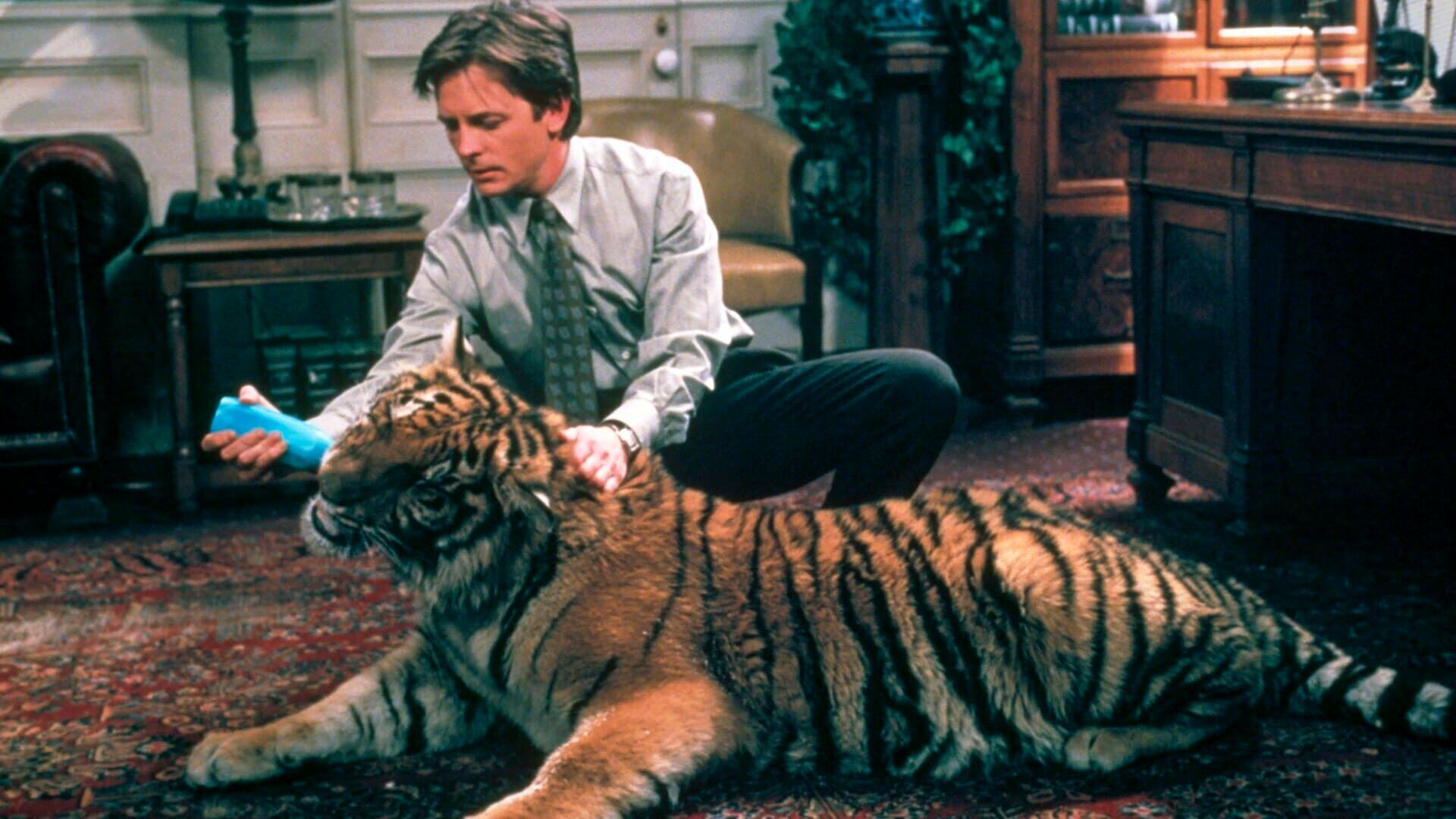 La magicienne ou le tigre