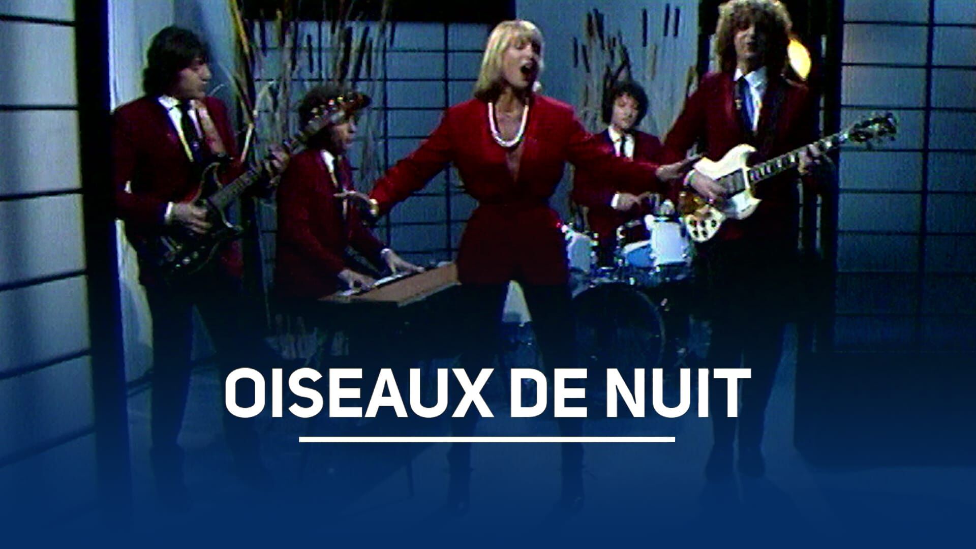 Les oiseaux de nuit