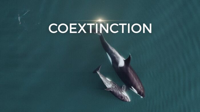Coextinction