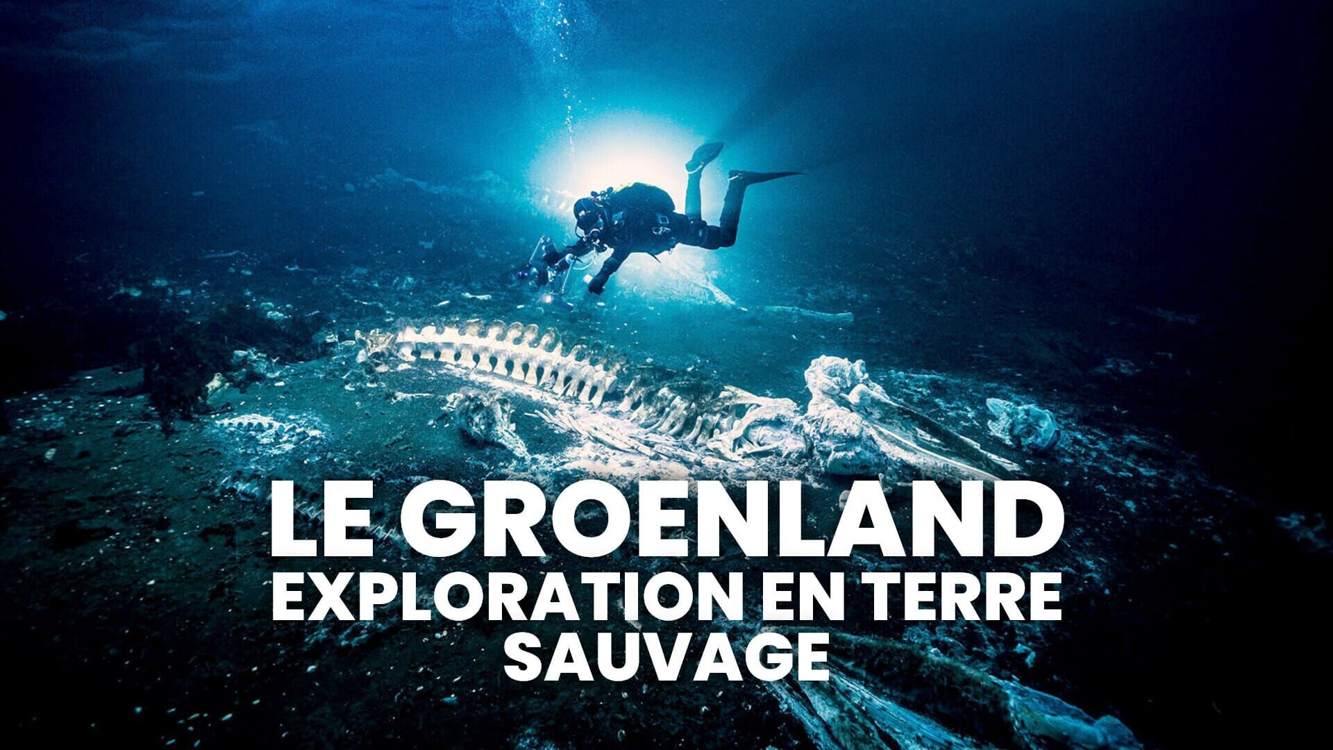 Le Groenland : exploration en terre sauvage
