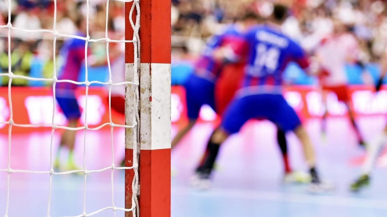 Handball : Liqui Moly StarLigue