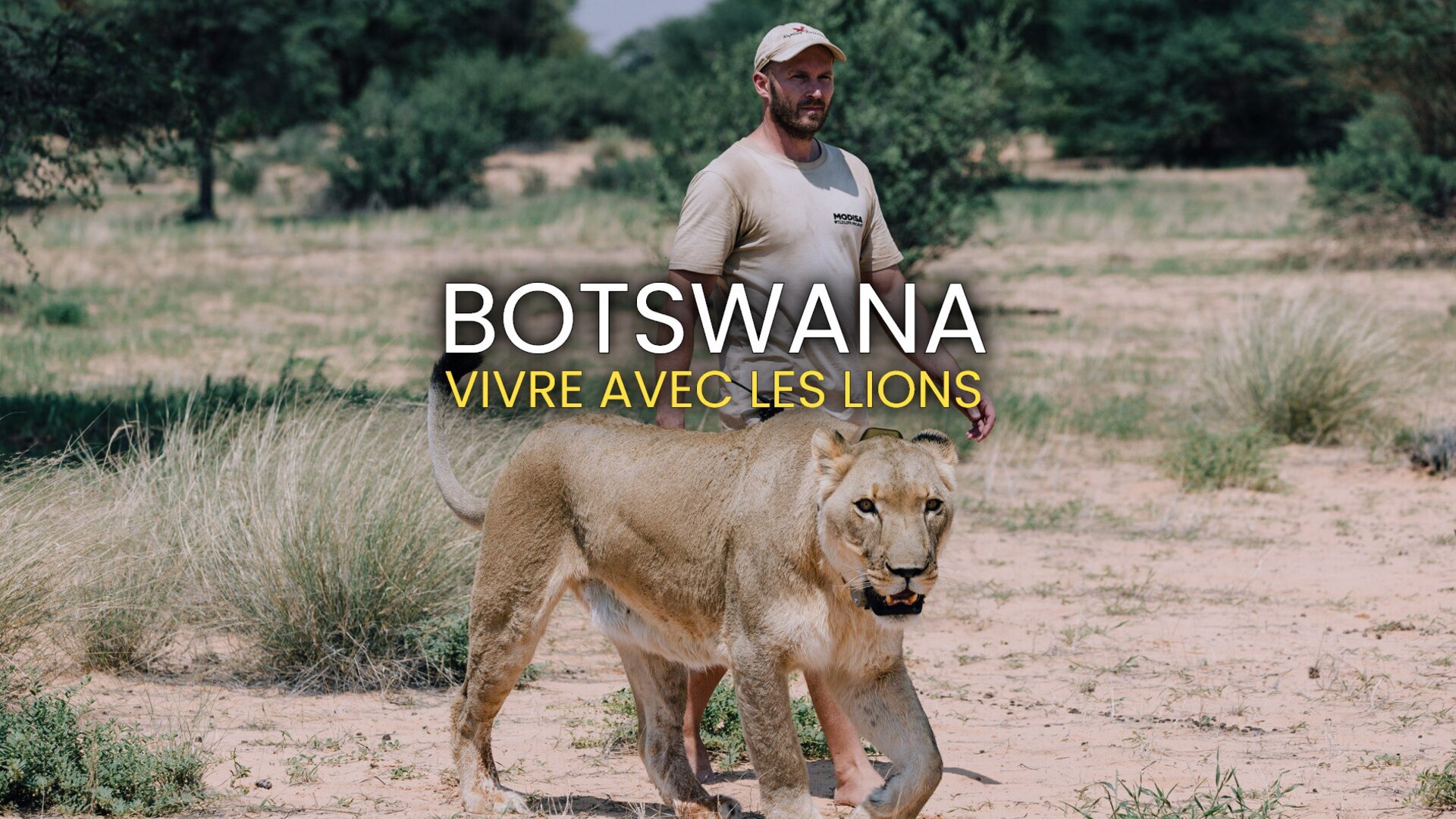 Botswana : Vivre avec les lions