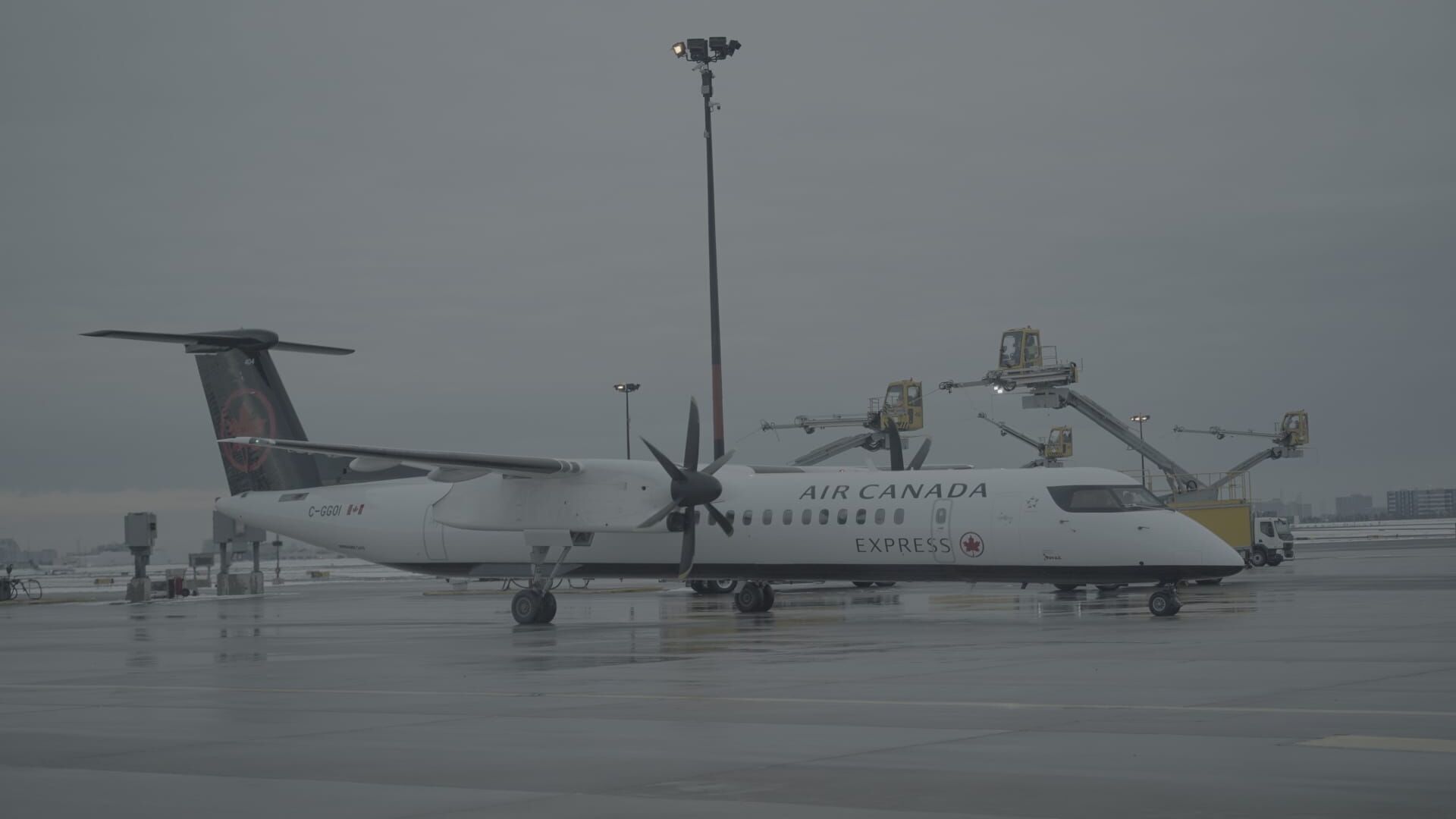 Un intrus dans l'aéroport