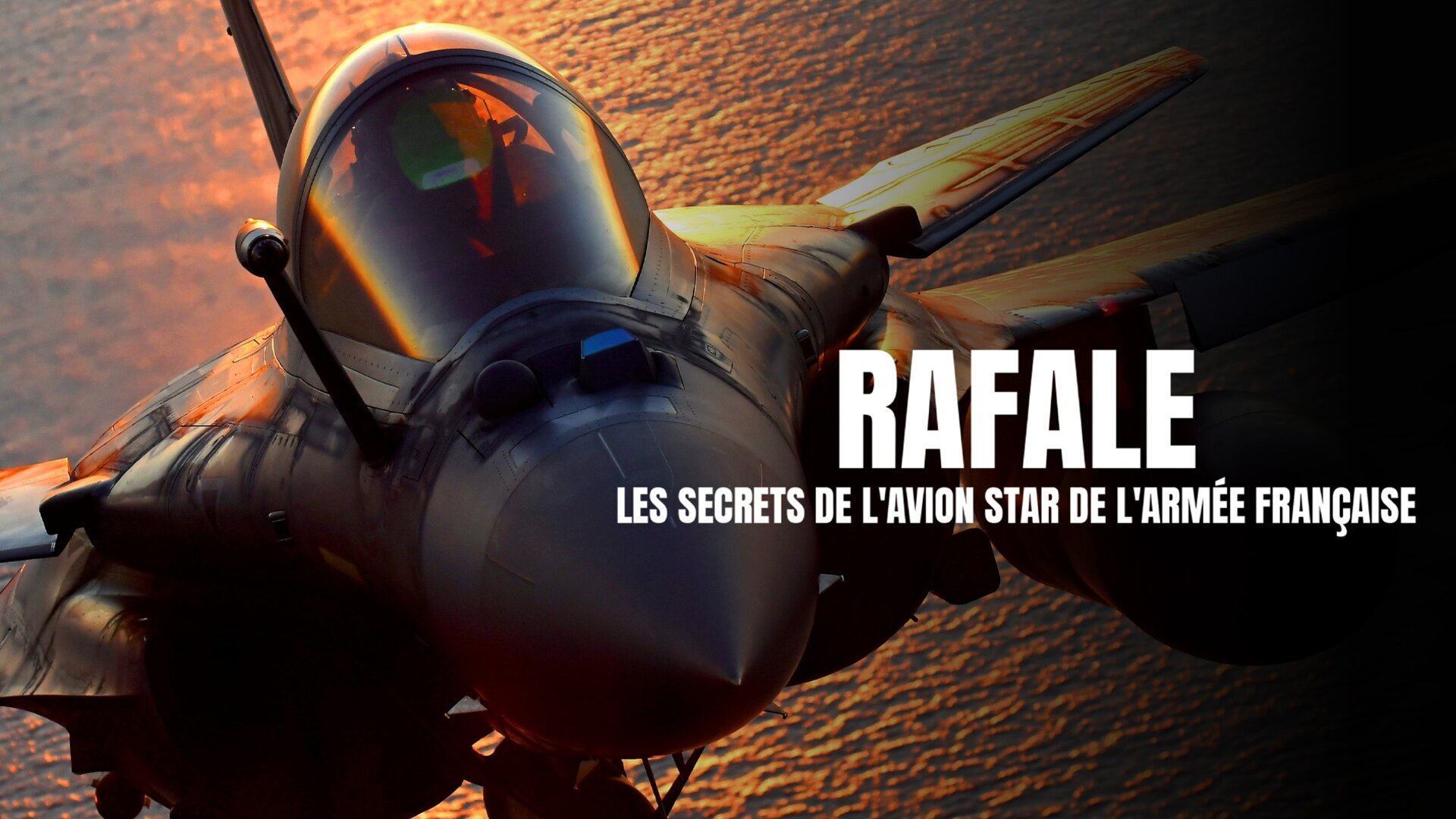 Rafale : les secrets de l'avion star de l'armée