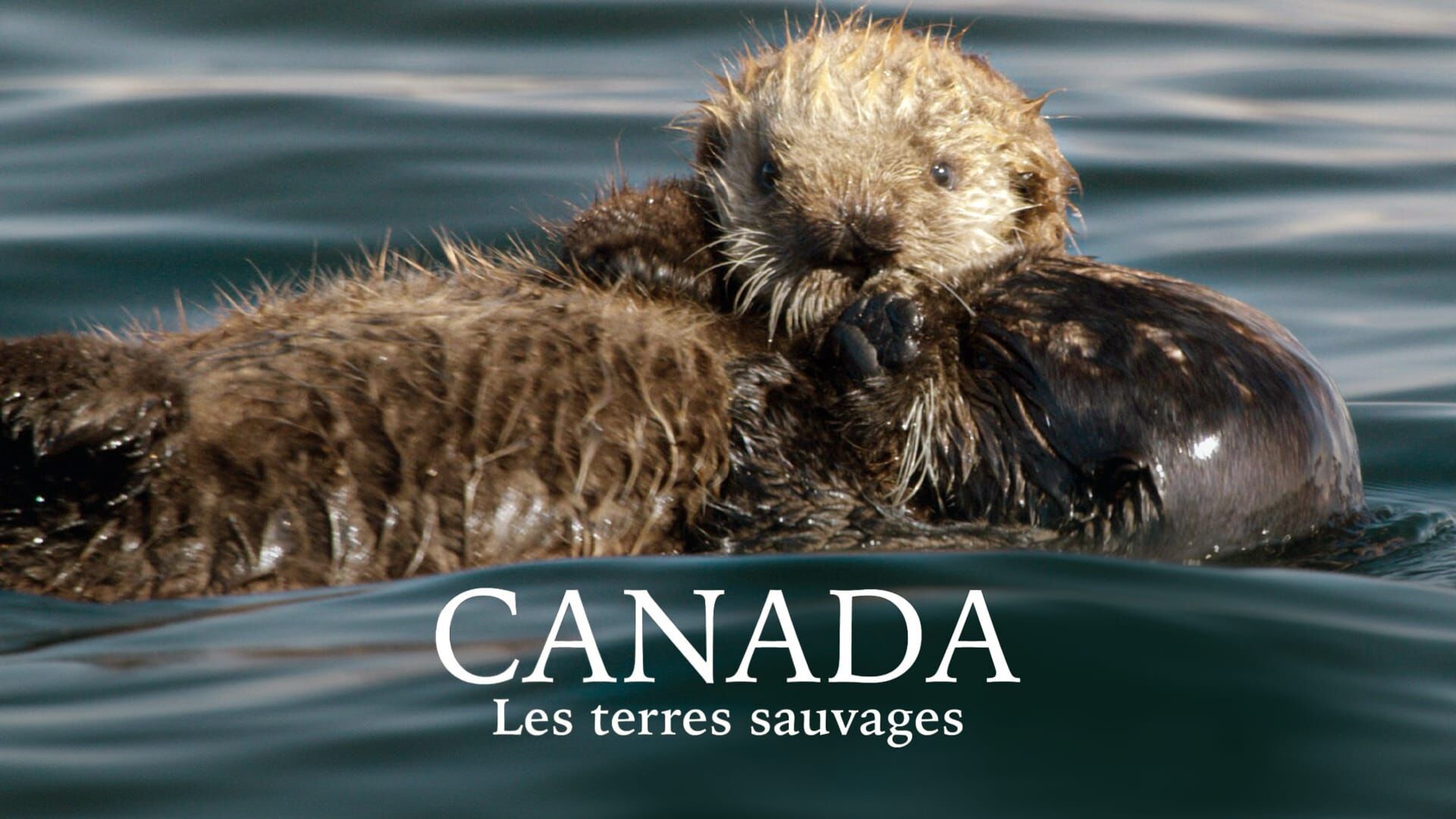 Canada : Les terres sauvages