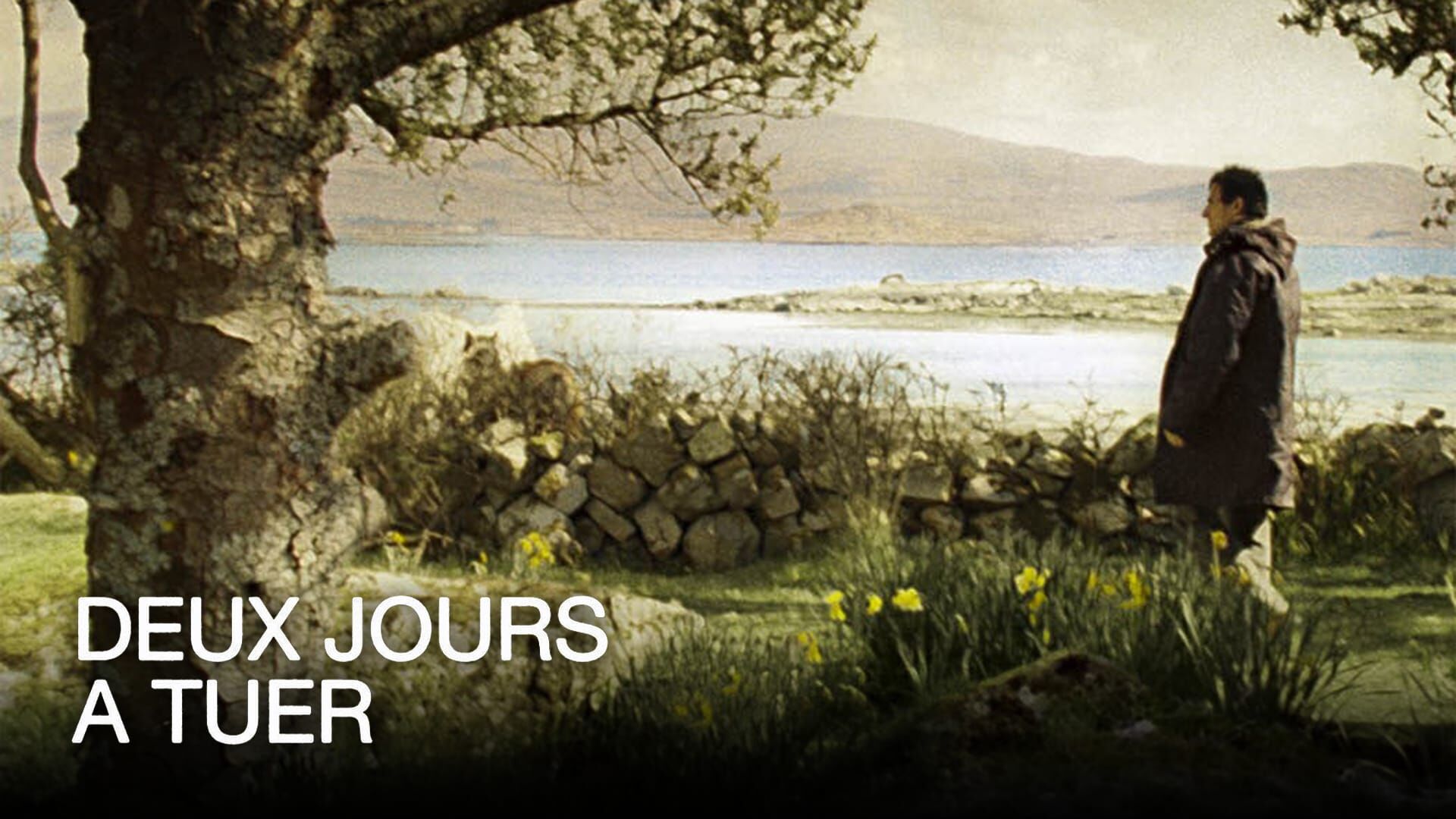 Deux jours à tuer