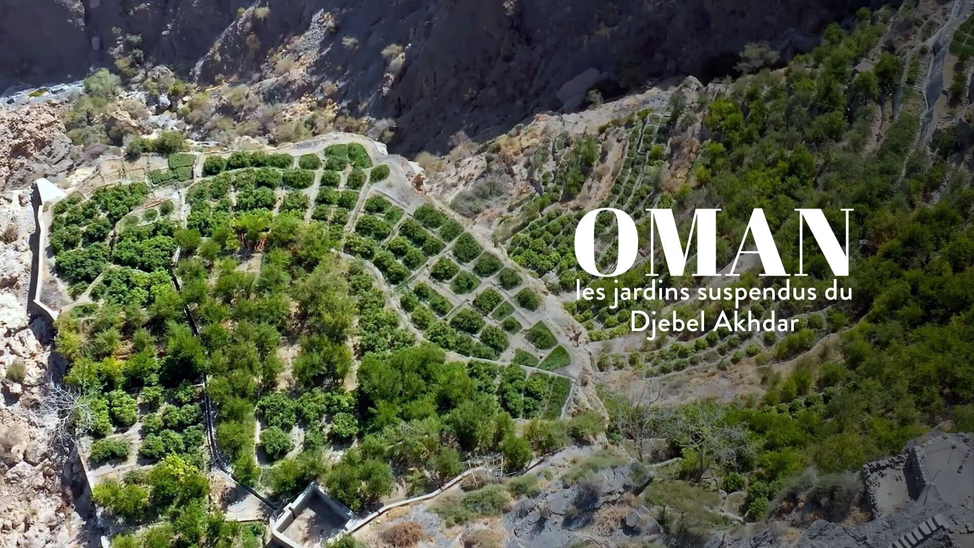Oman, les jardins suspendus du djebel Akhdar