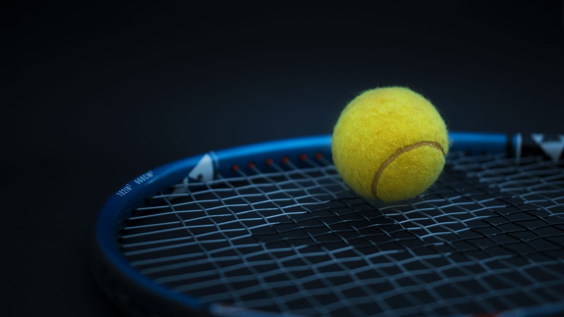 Tennis : Tournoi WTA d'Auckland