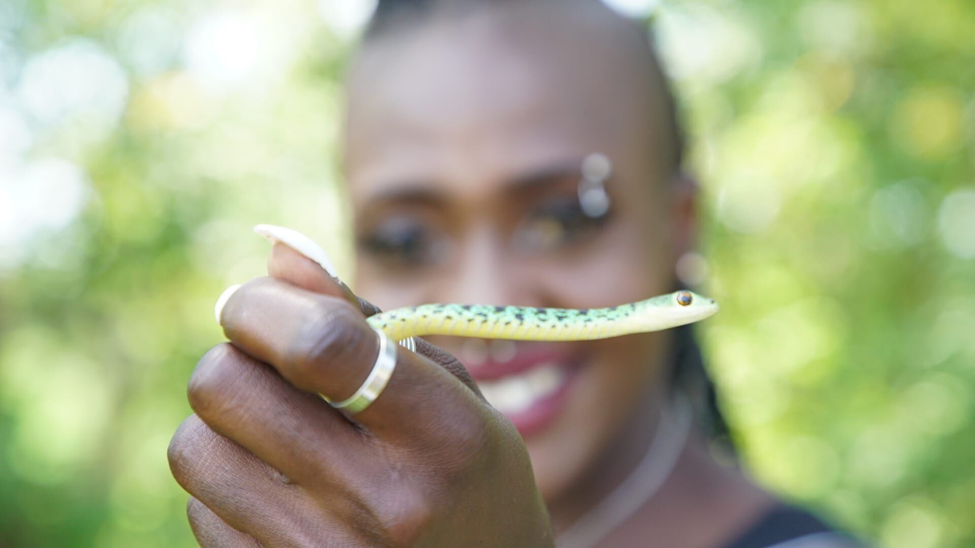 Des cobras aux crocos