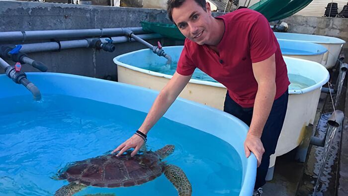 Les animaux marins de l'île de la Réunion