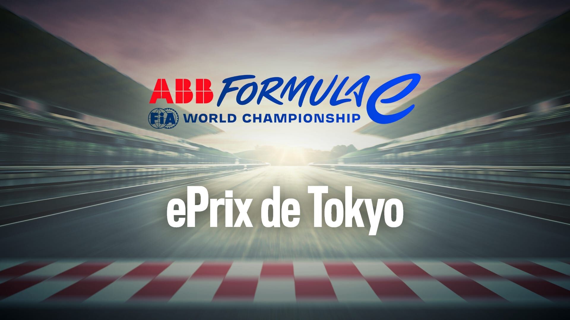 Formule E : ePrix de Tokyo