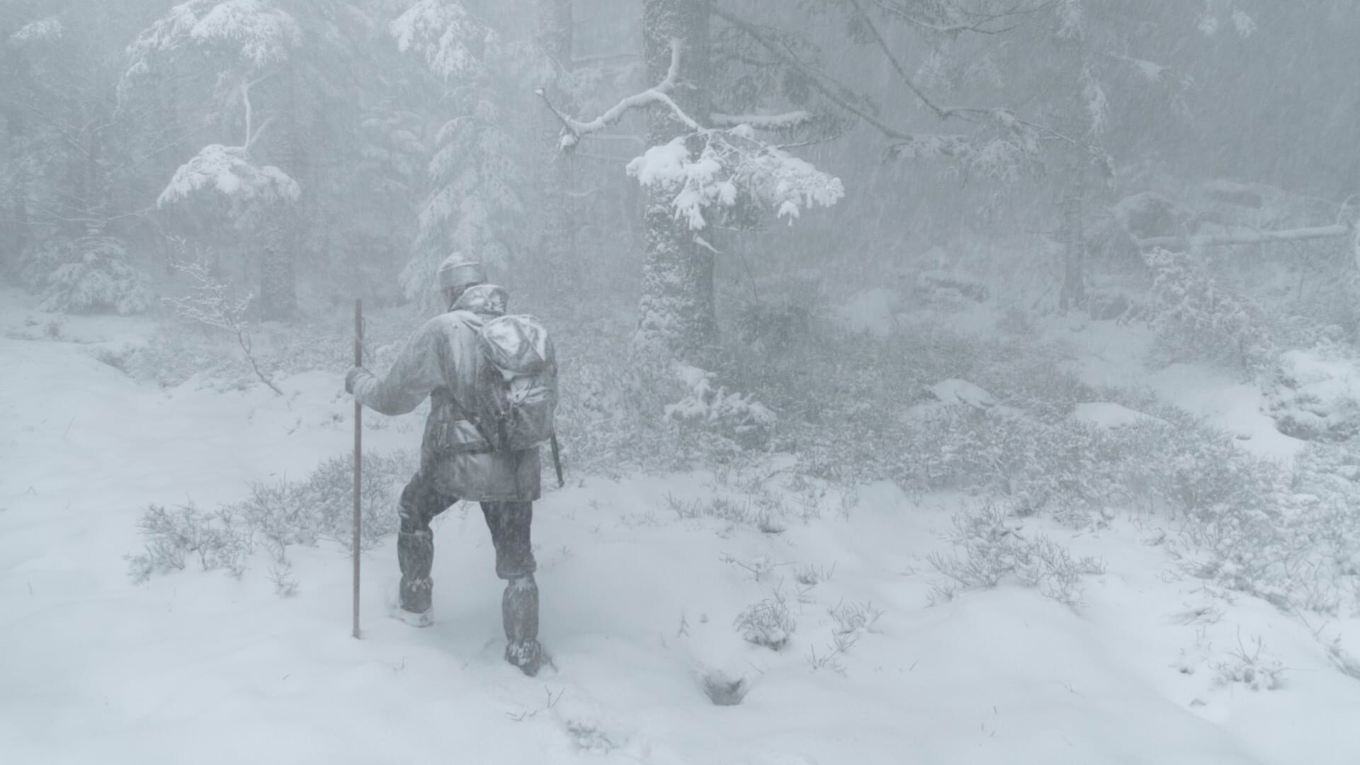 Le Chant des forêts