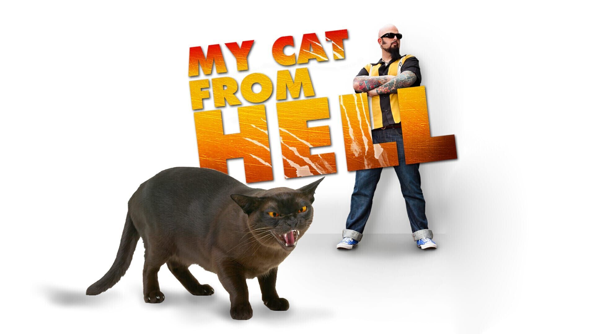 Des clients terrorisés