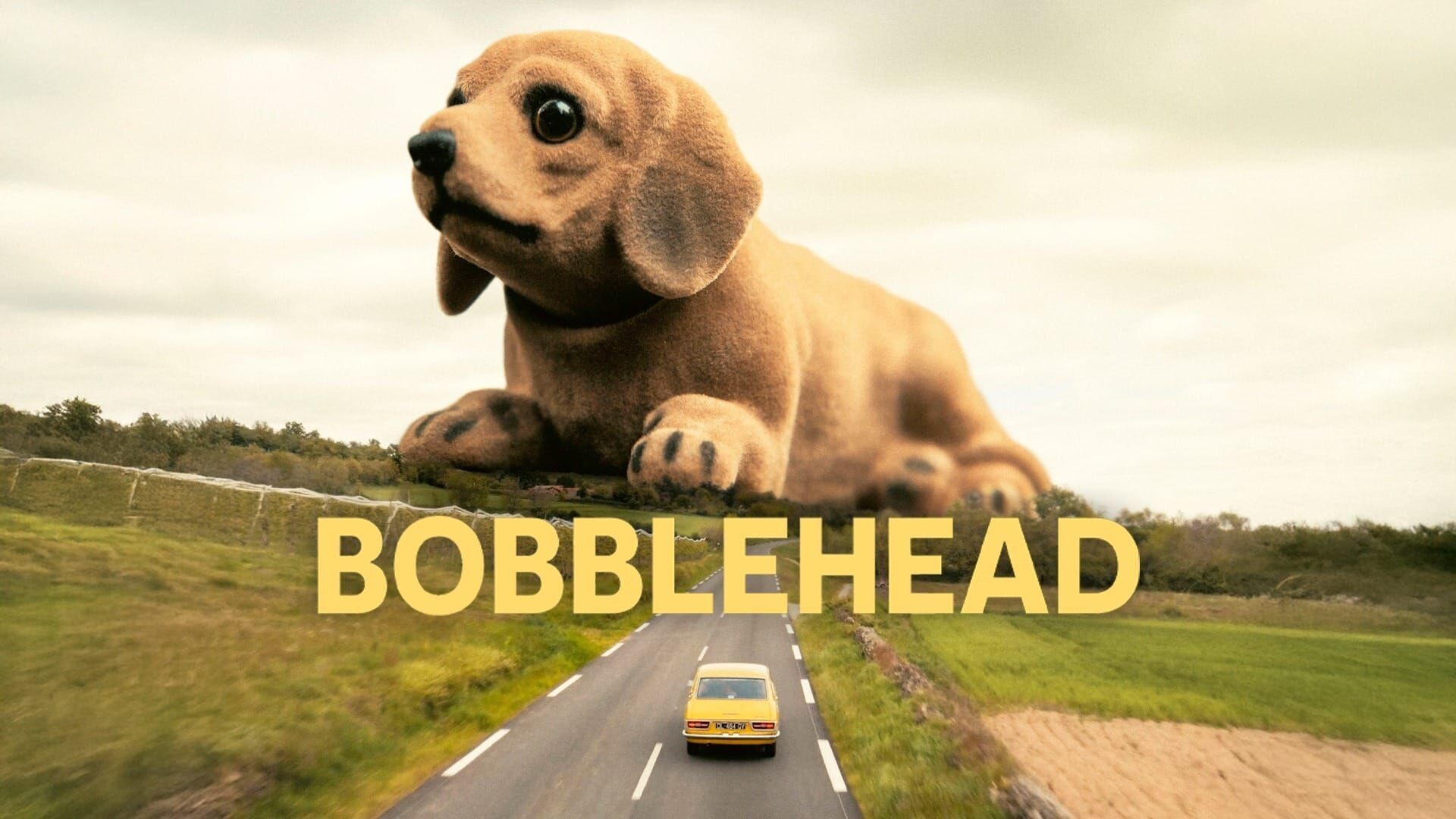 Bobblehead