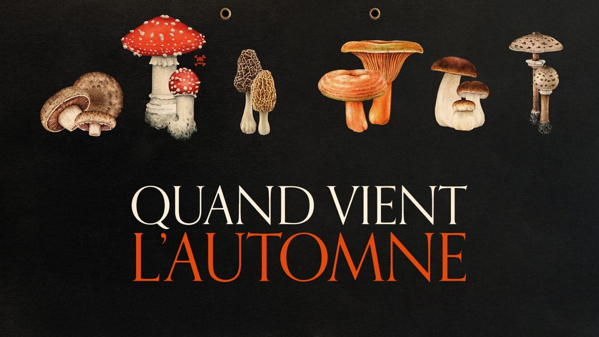 Quand vient l'automne