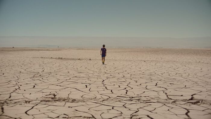 Estrellas del desierto
