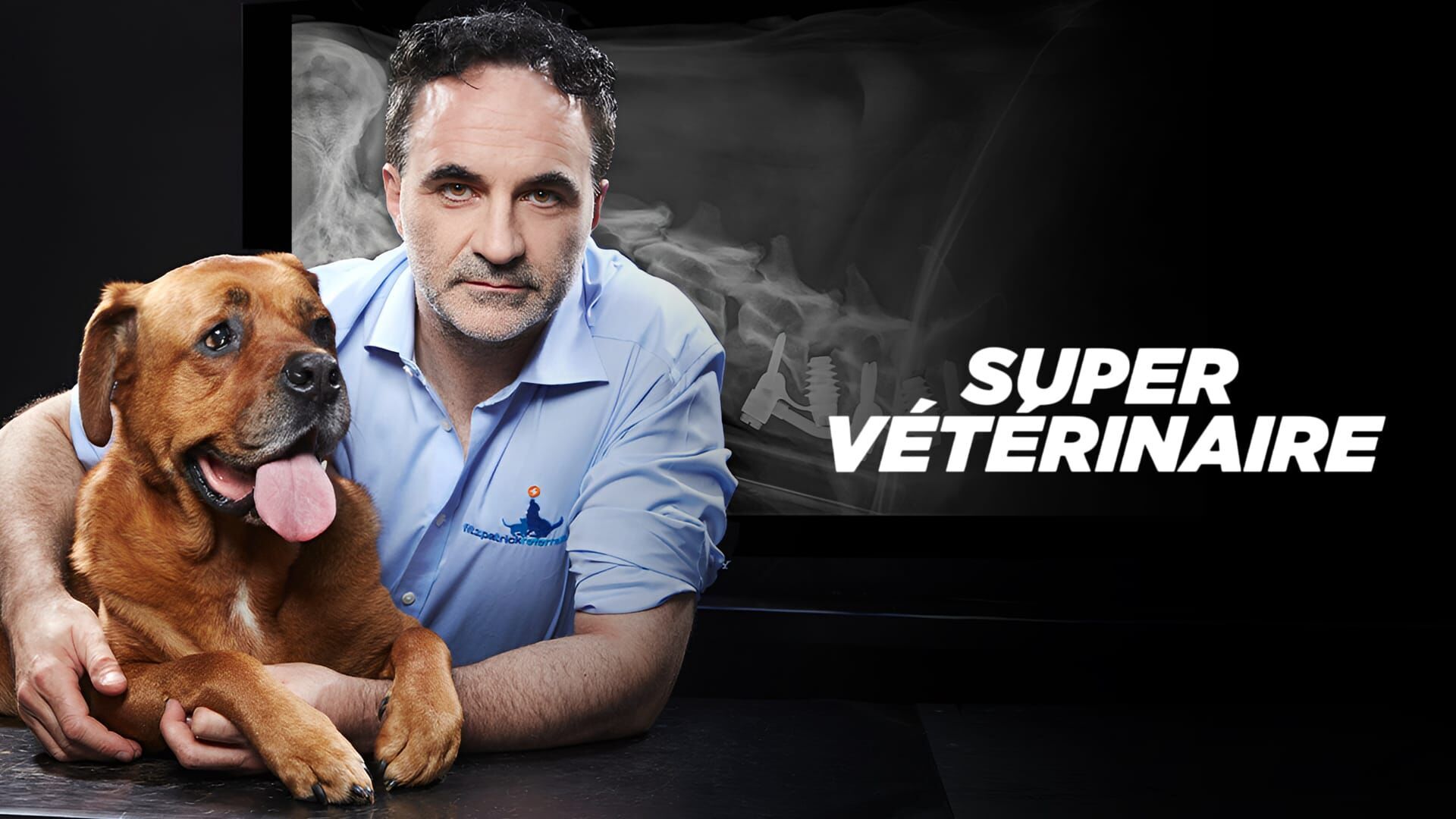 Milo, Bramble and Digby