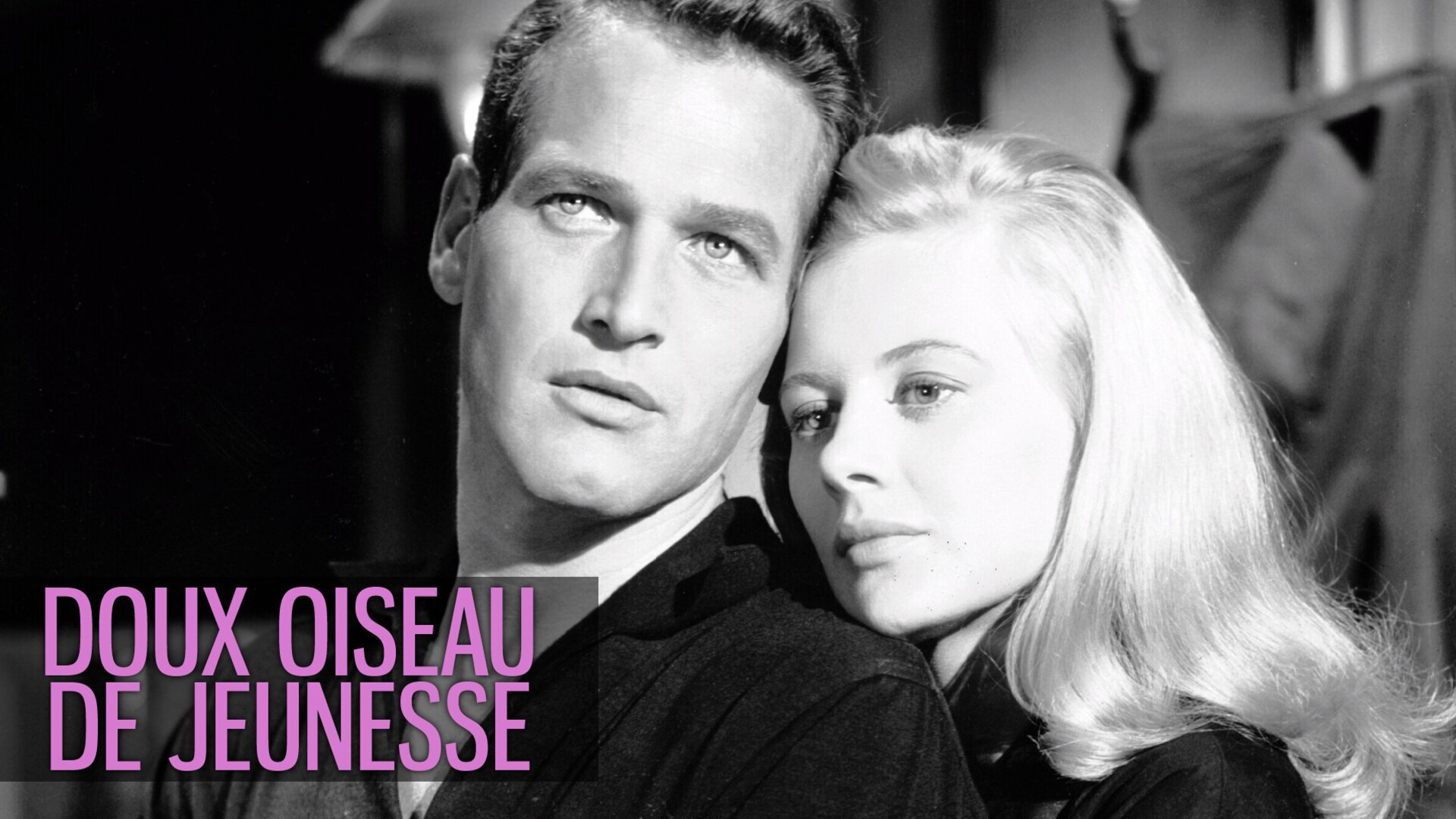 Doux oiseau de jeunesse