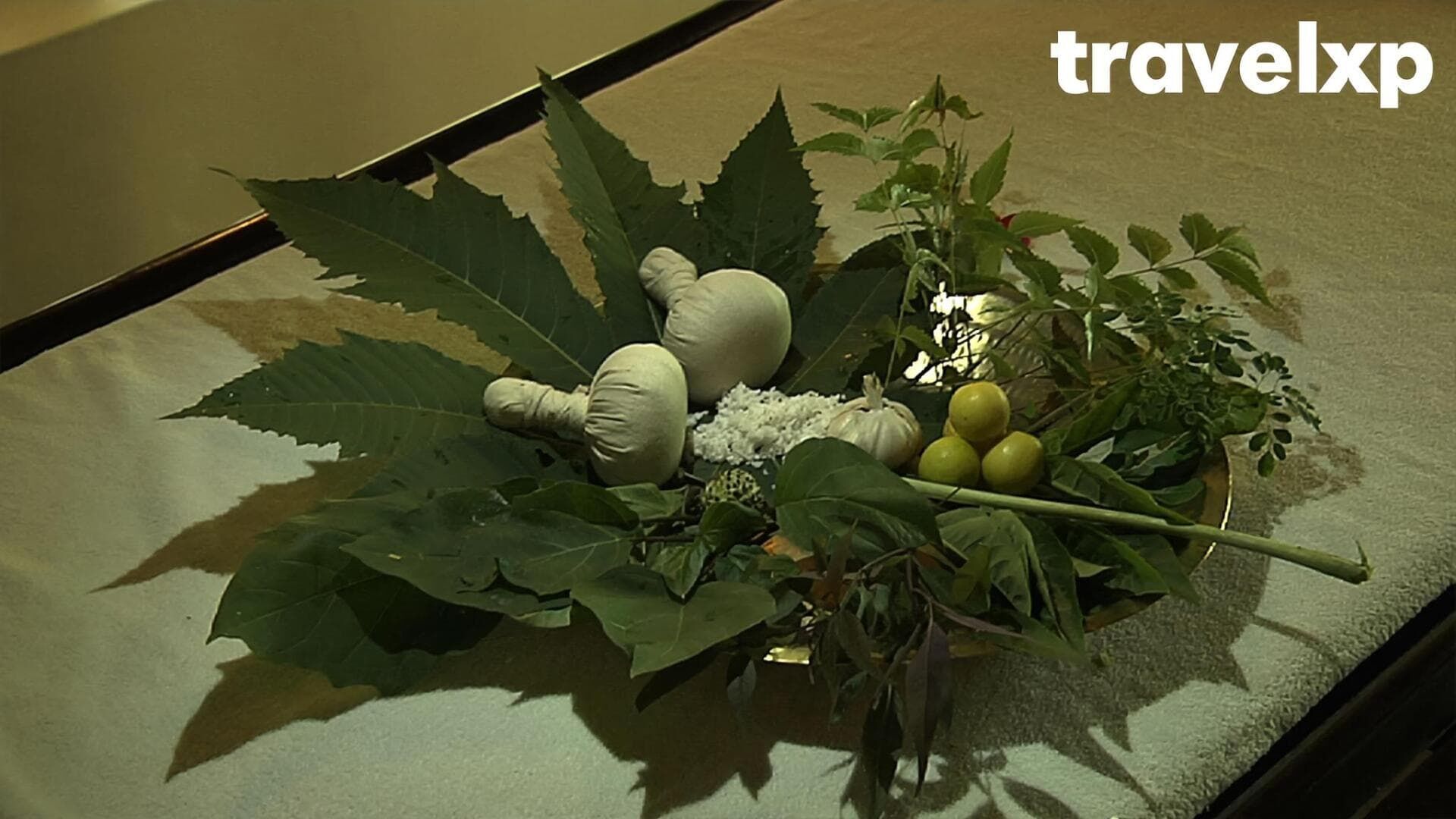 Fusion Maia, Vietnam