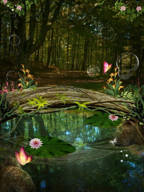 AMAMI: Shimauta - Amami's Soul Music