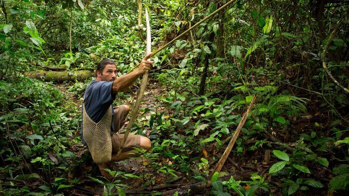 Le sacrifice de la jungle