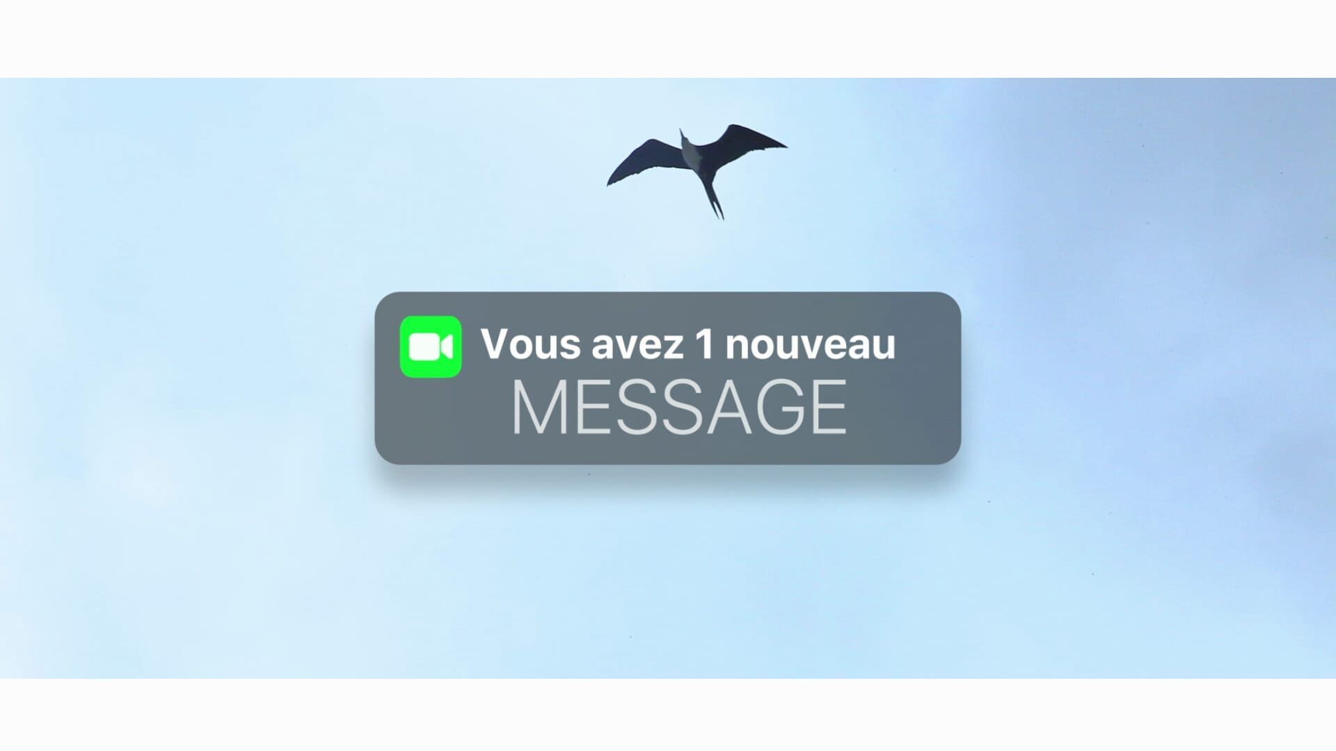 Texte original : " Bord de canal ", d'Alfred Alexandre, lu par Christian Julien