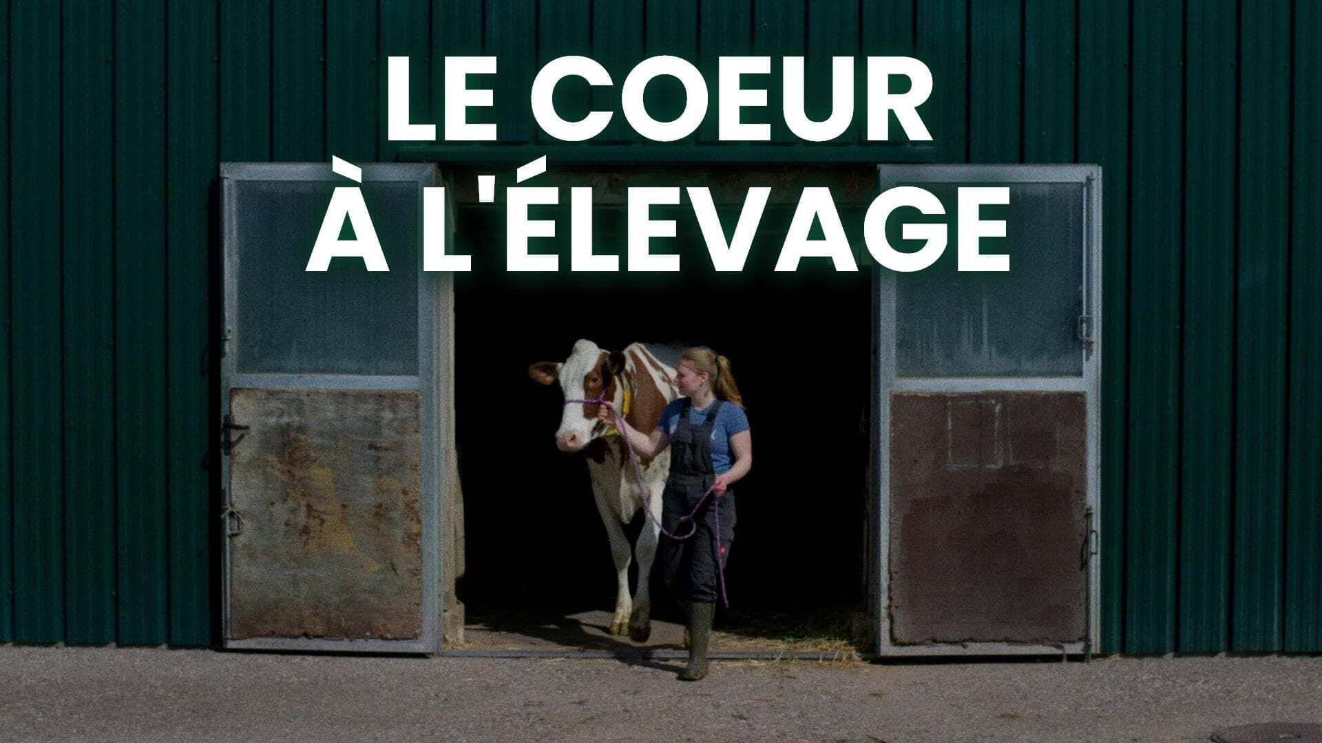 Le coeur à l'élevage