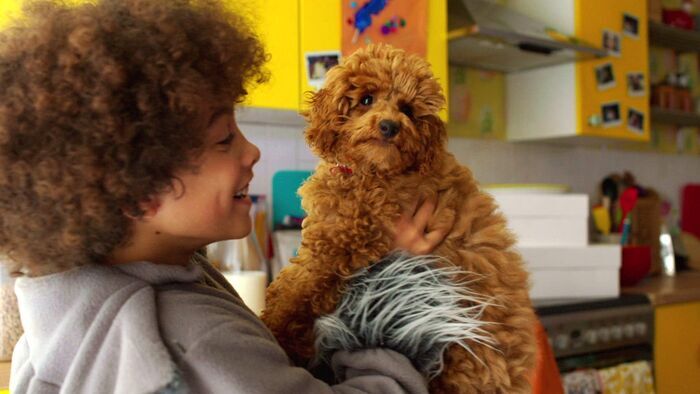 Bonne nuit, Waffle !